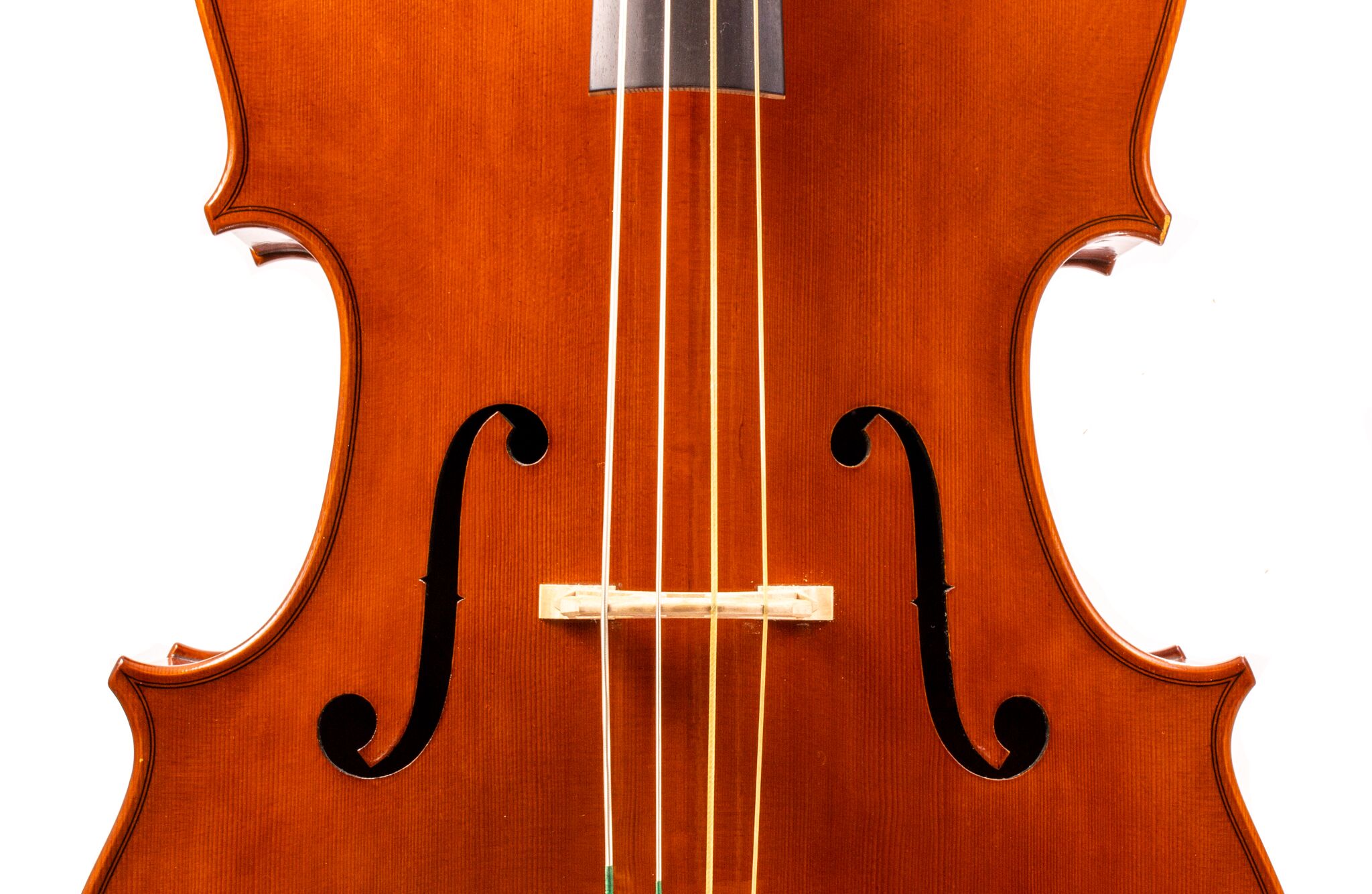 Francis Beaulieu Cello - Montreal 2021-12