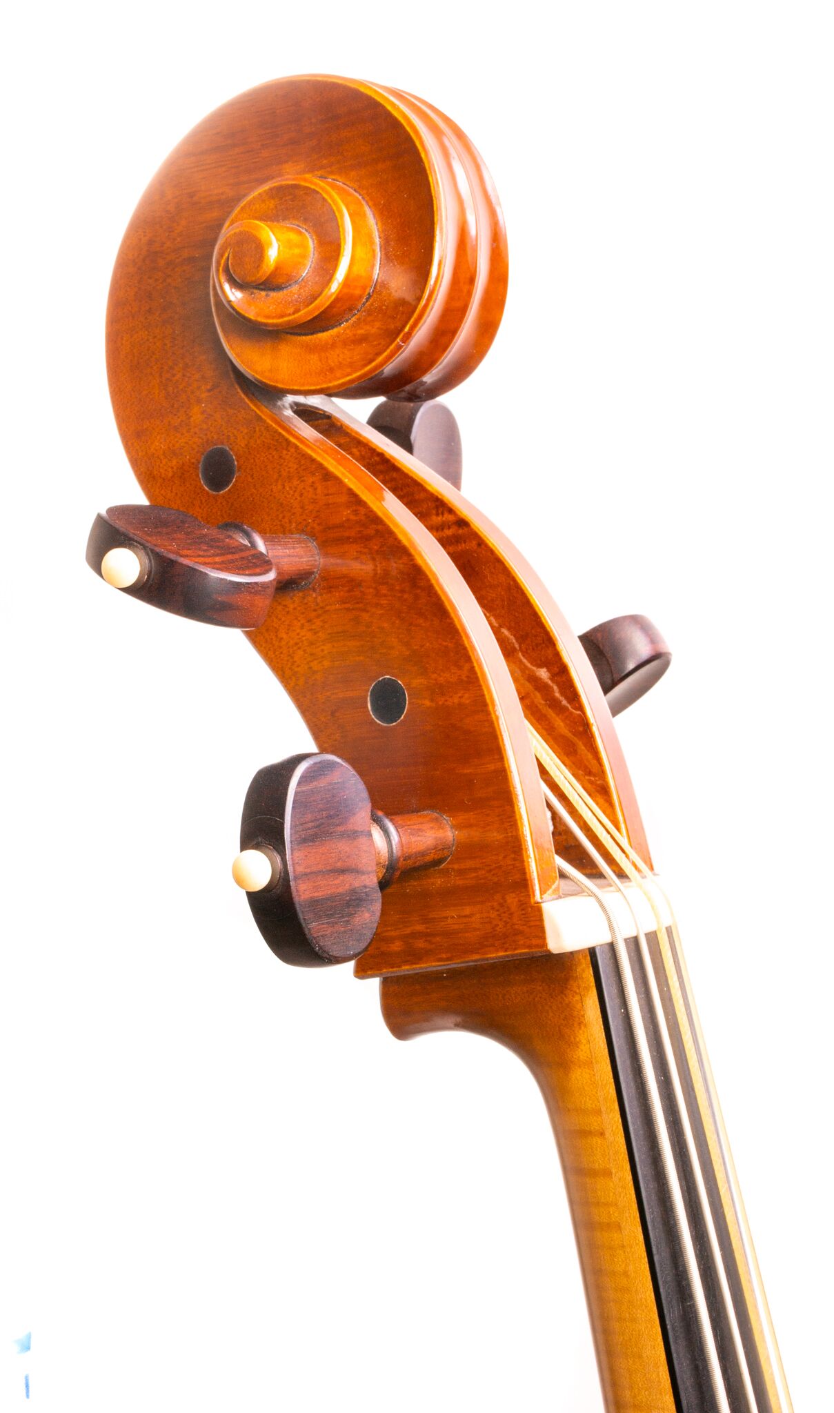 Francis Beaulieu Cello - Montreal 2021-14