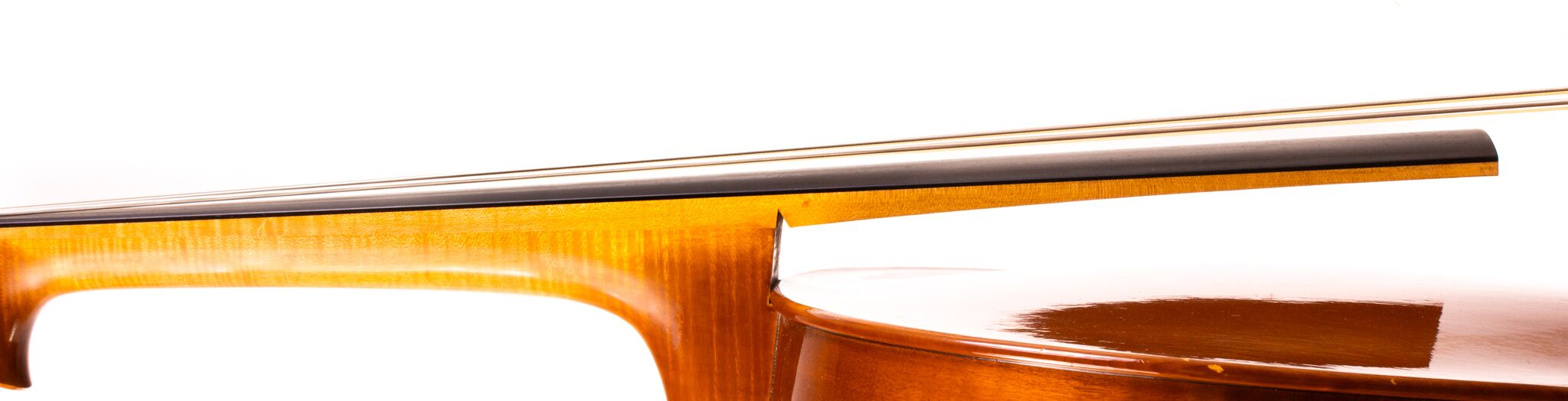 Francis Beaulieu Cello - Montreal 2021-3-2