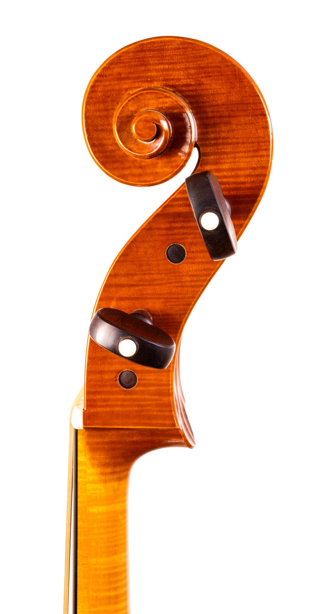 Francis Beaulieu Cello - Montreal 2021-5