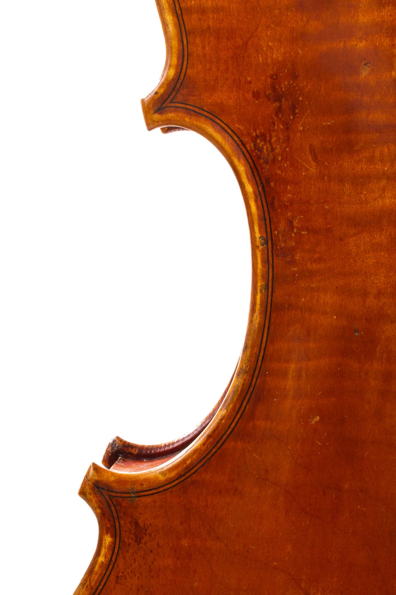 robert-mccluskie-viola-1999-02
