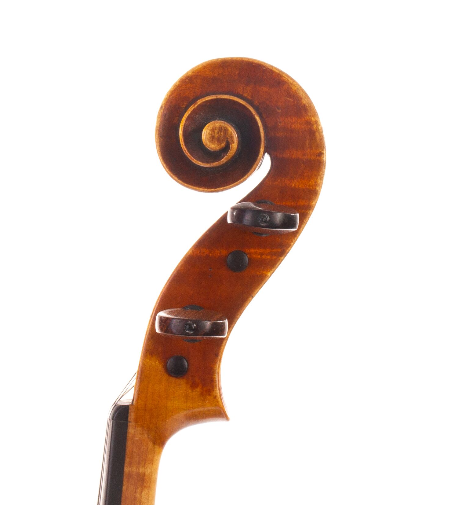 robert-mccluskie-viola-1999-05