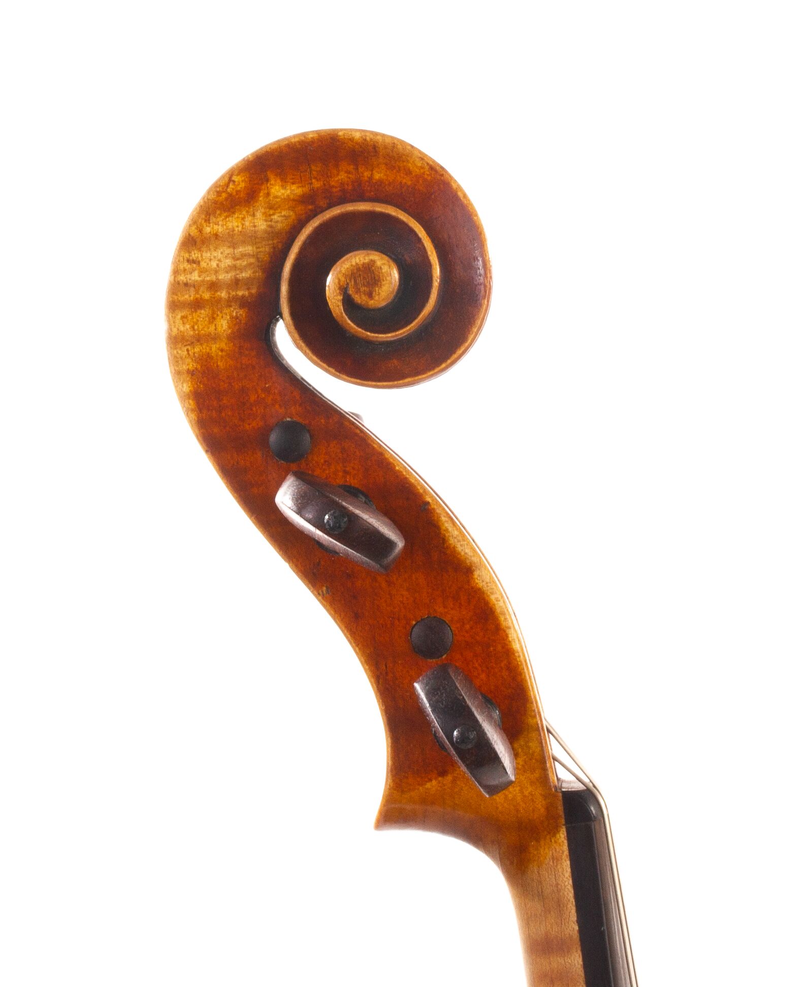 robert-mccluskie-viola-1999-08