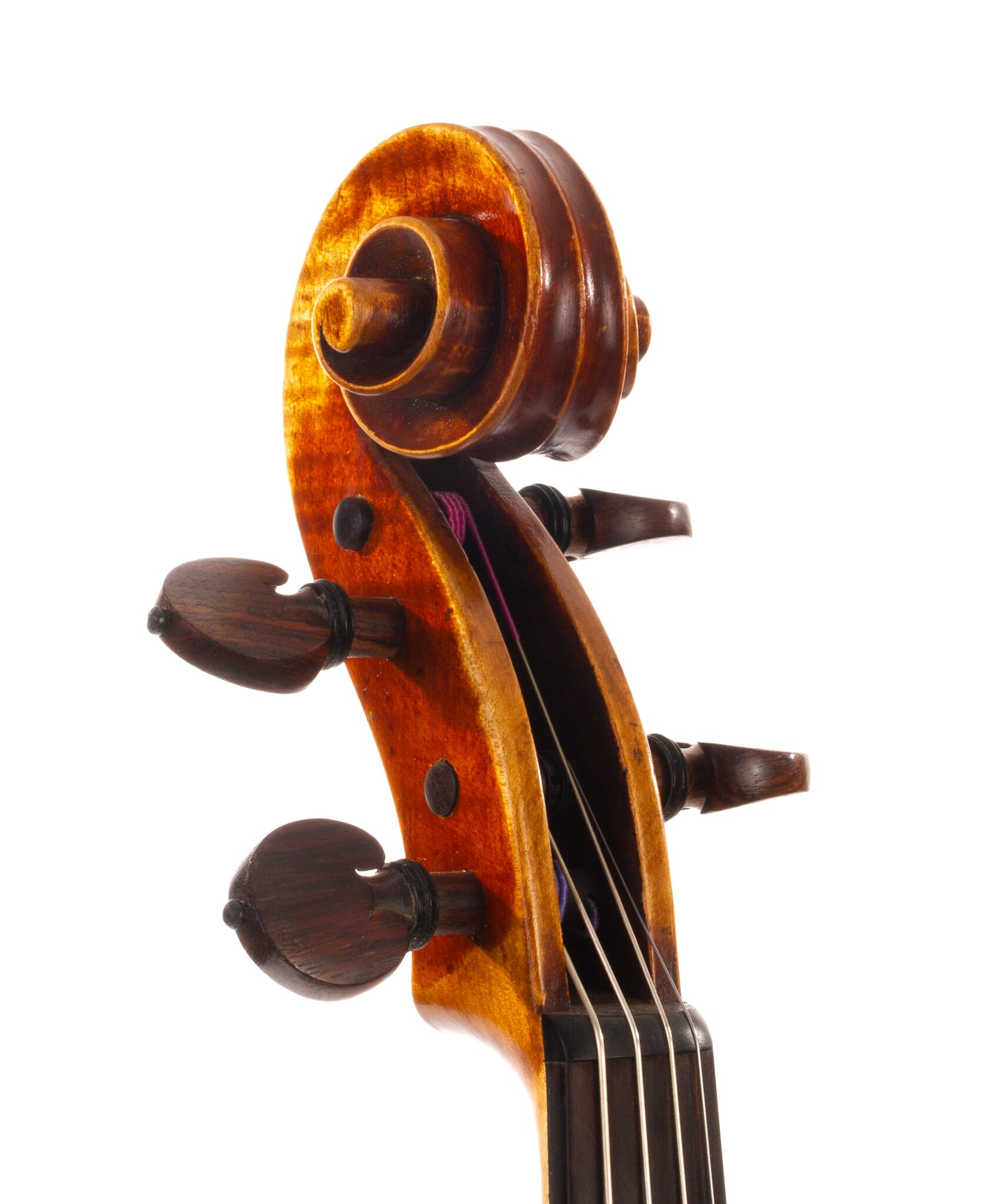 robert-mccluskie-viola-1999-10