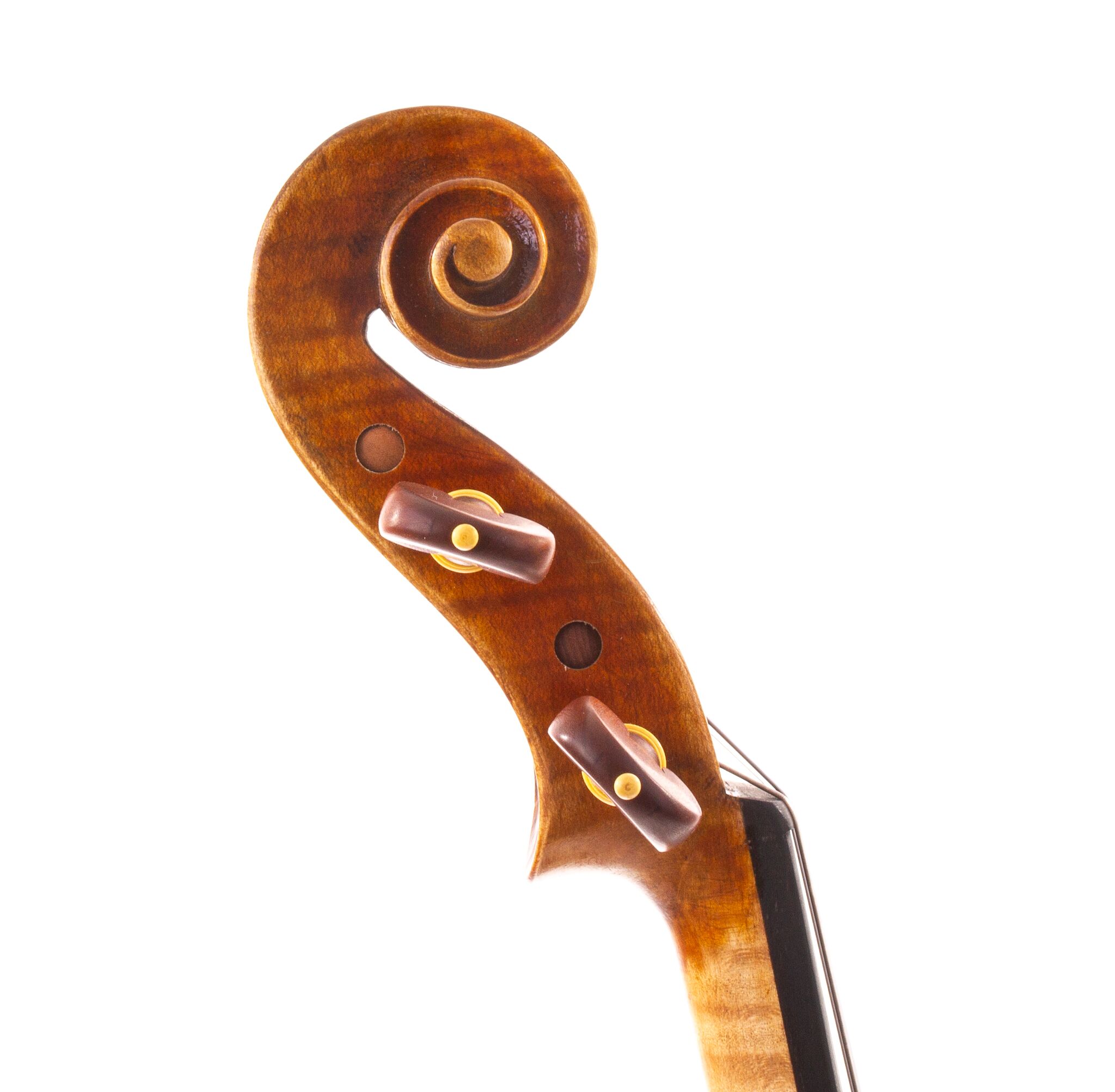 sandro-luciano-7-8-size-violin-02