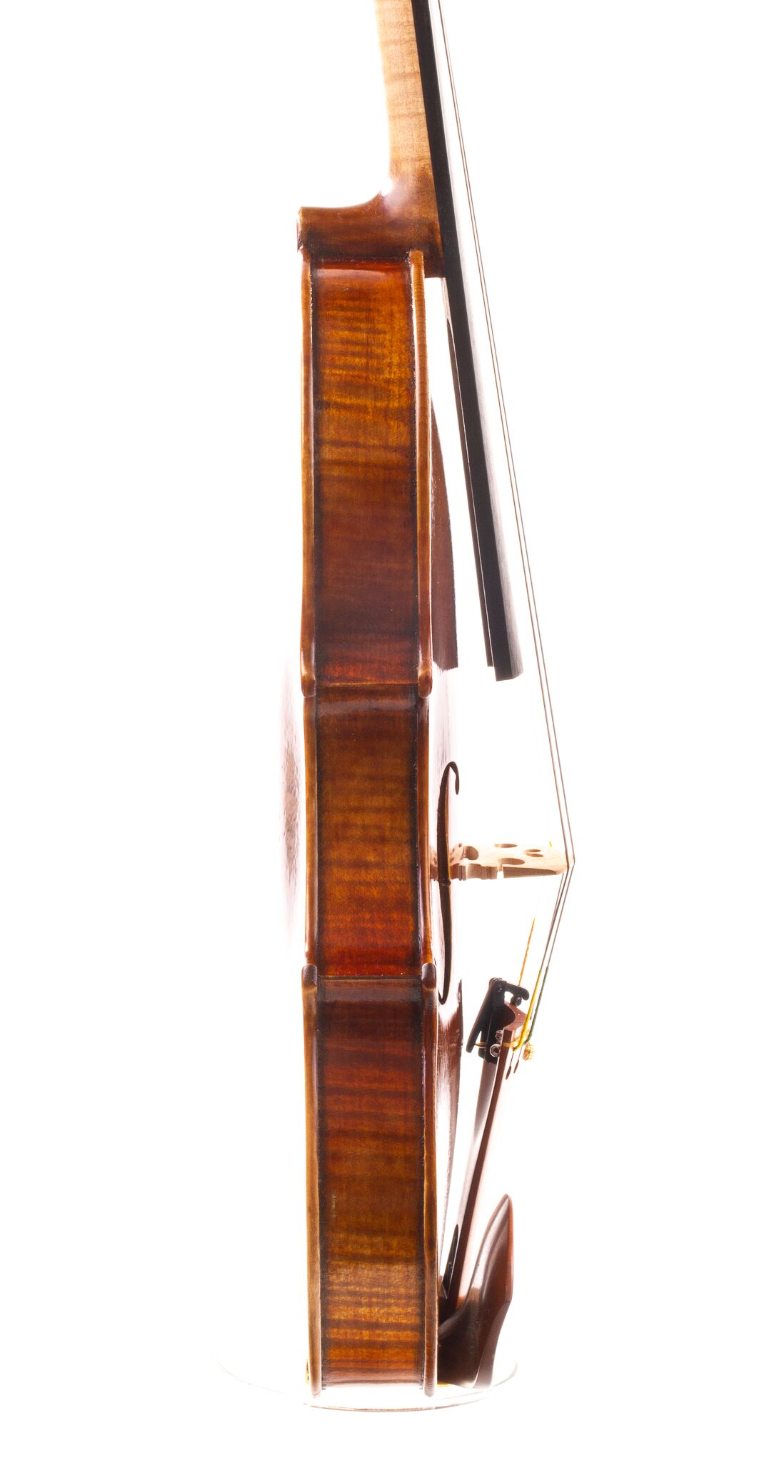 sandro-luciano-7-8-size-violin-07