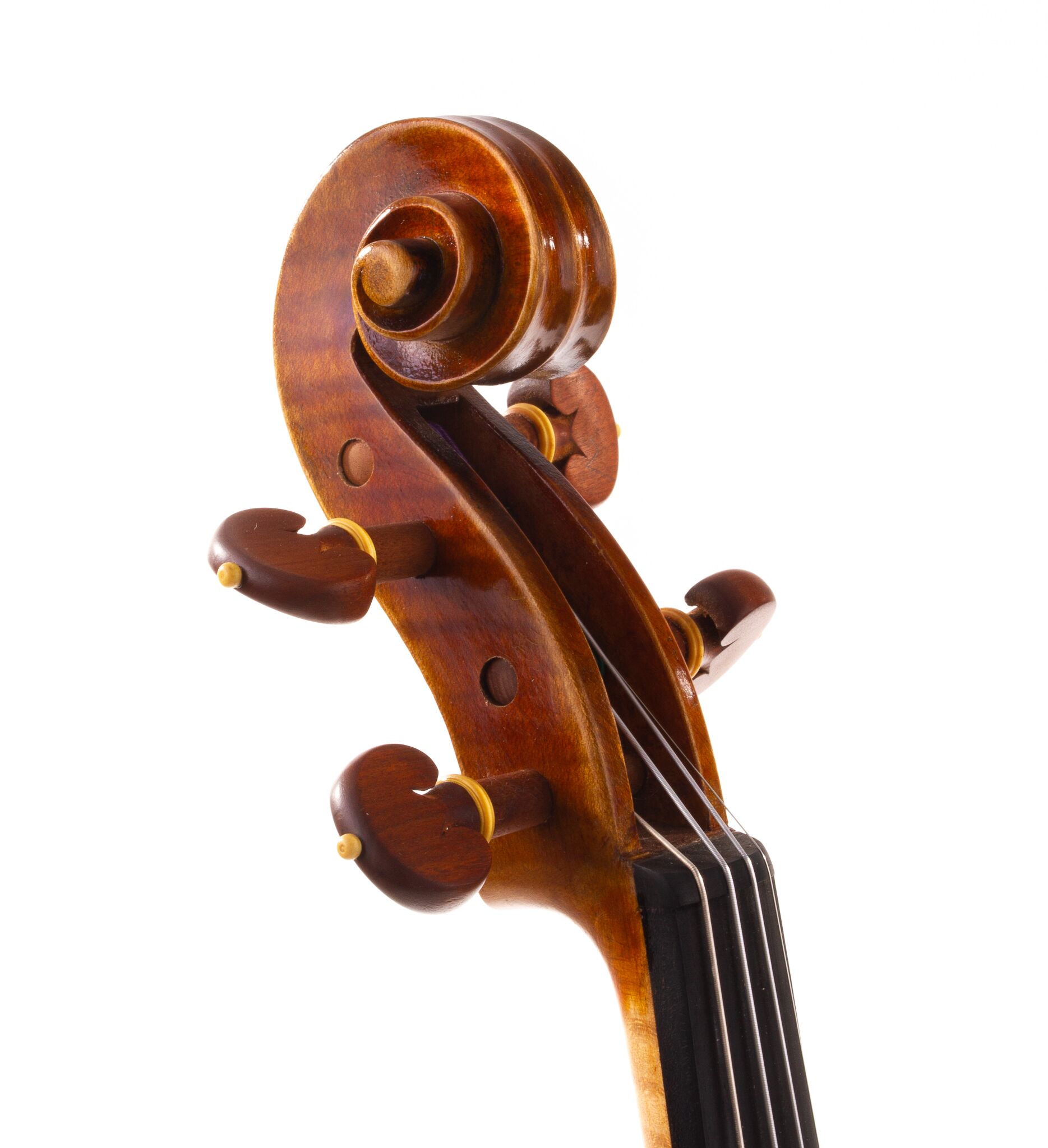 sandro-luciano-7-8-size-violin-08
