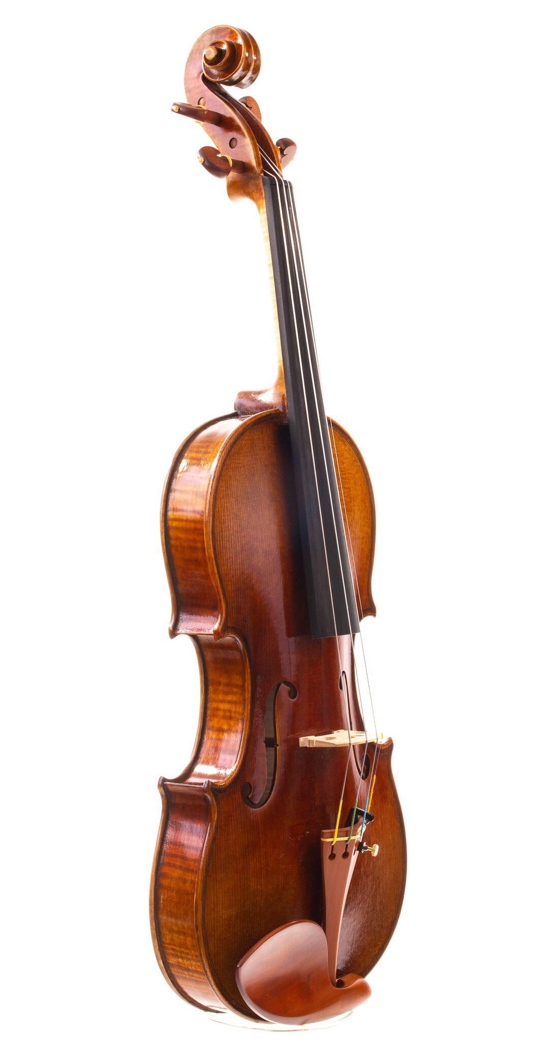 sandro-luciano-7-8-size-violin-09