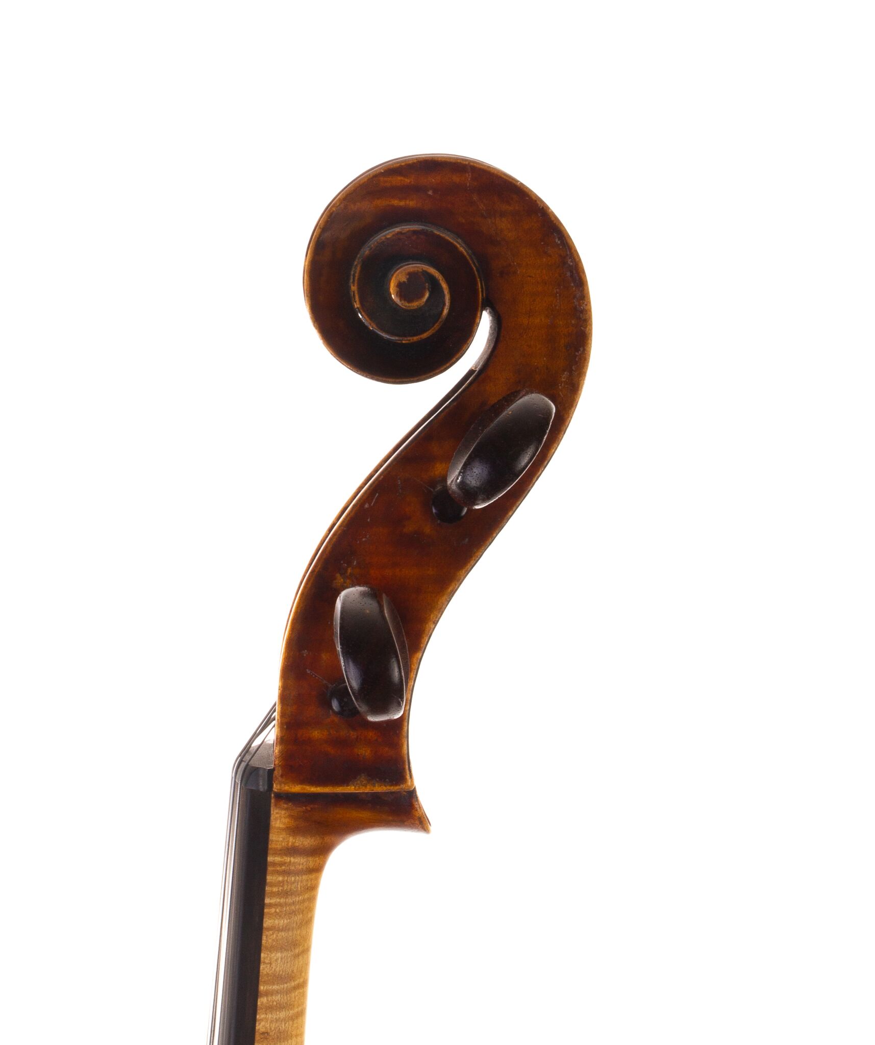 Mougenot-Cello-04