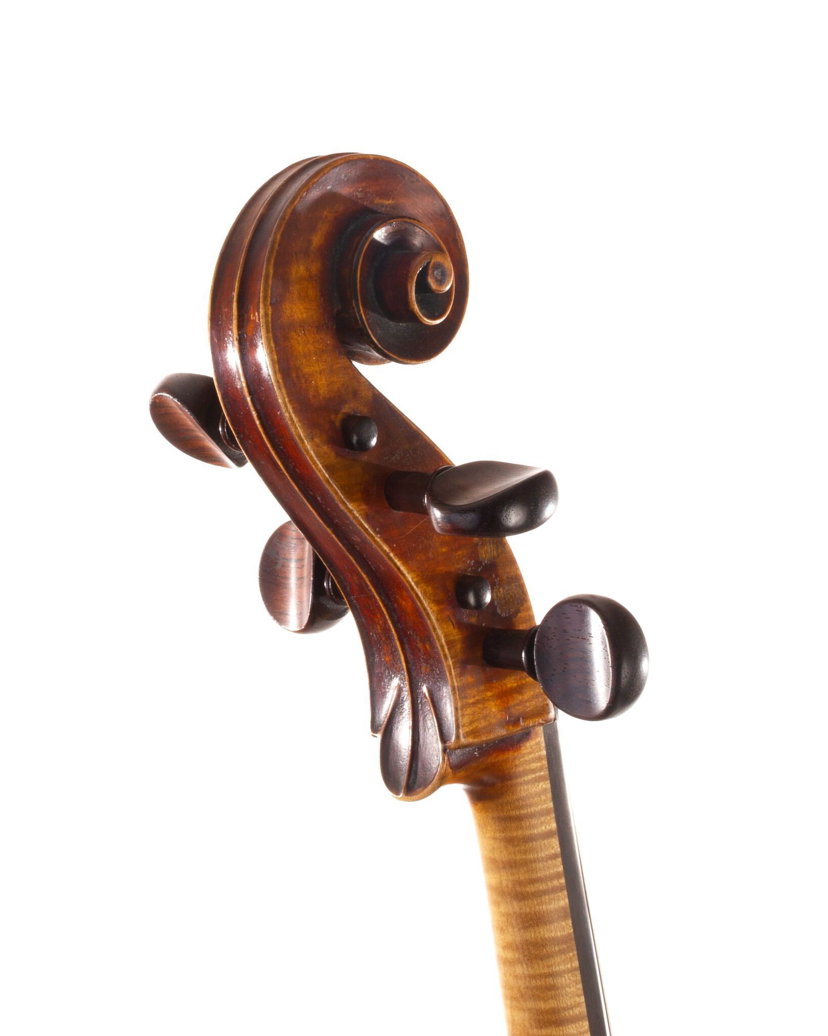 Mougenot-Cello-13
