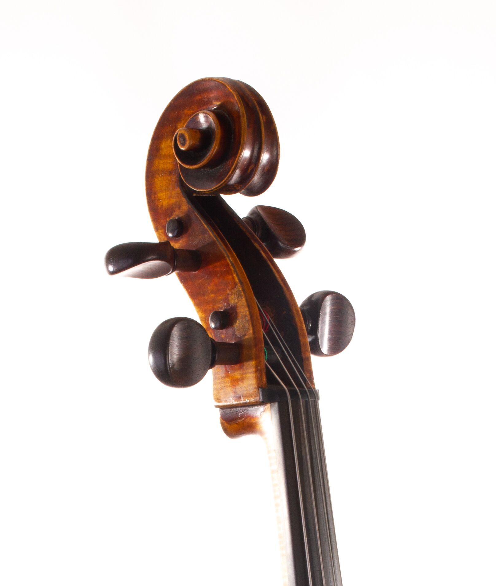 Mougenot-Cello-16