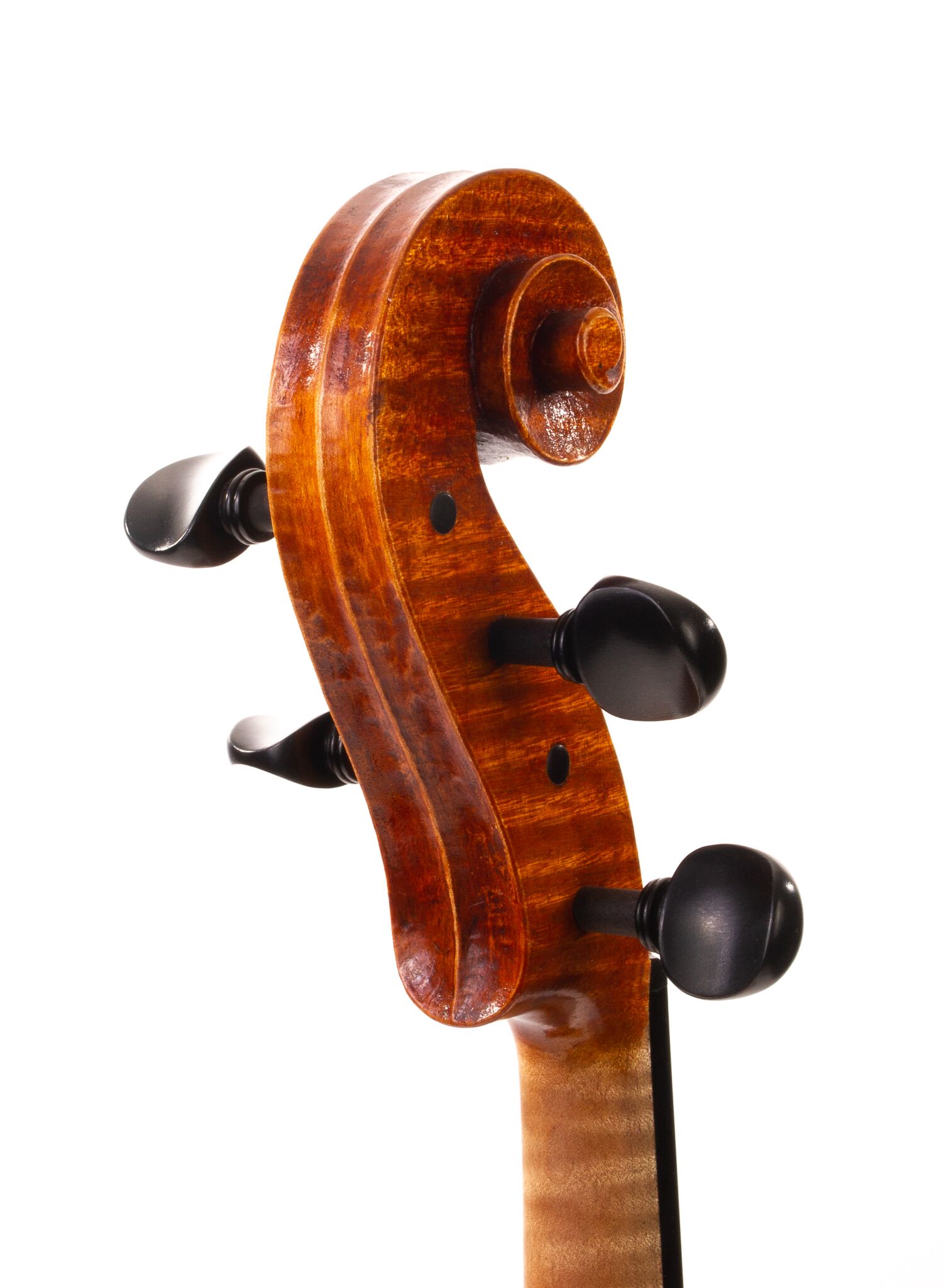 Julia-Felix-Viola-2023-06