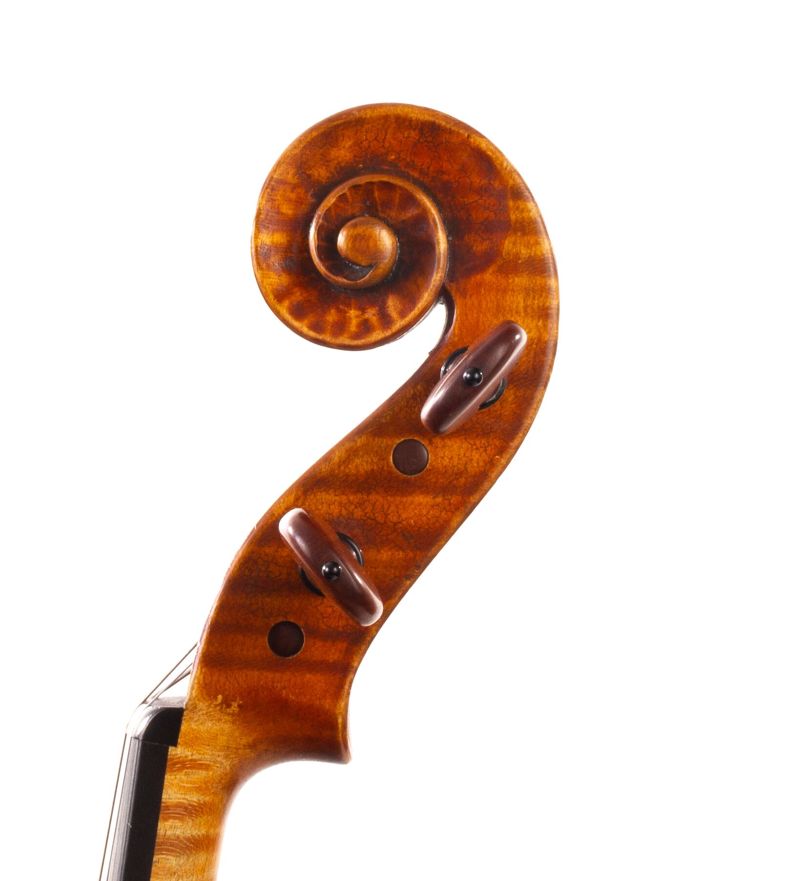 Wilhelm-Kapfhammer-Viola-1981-01