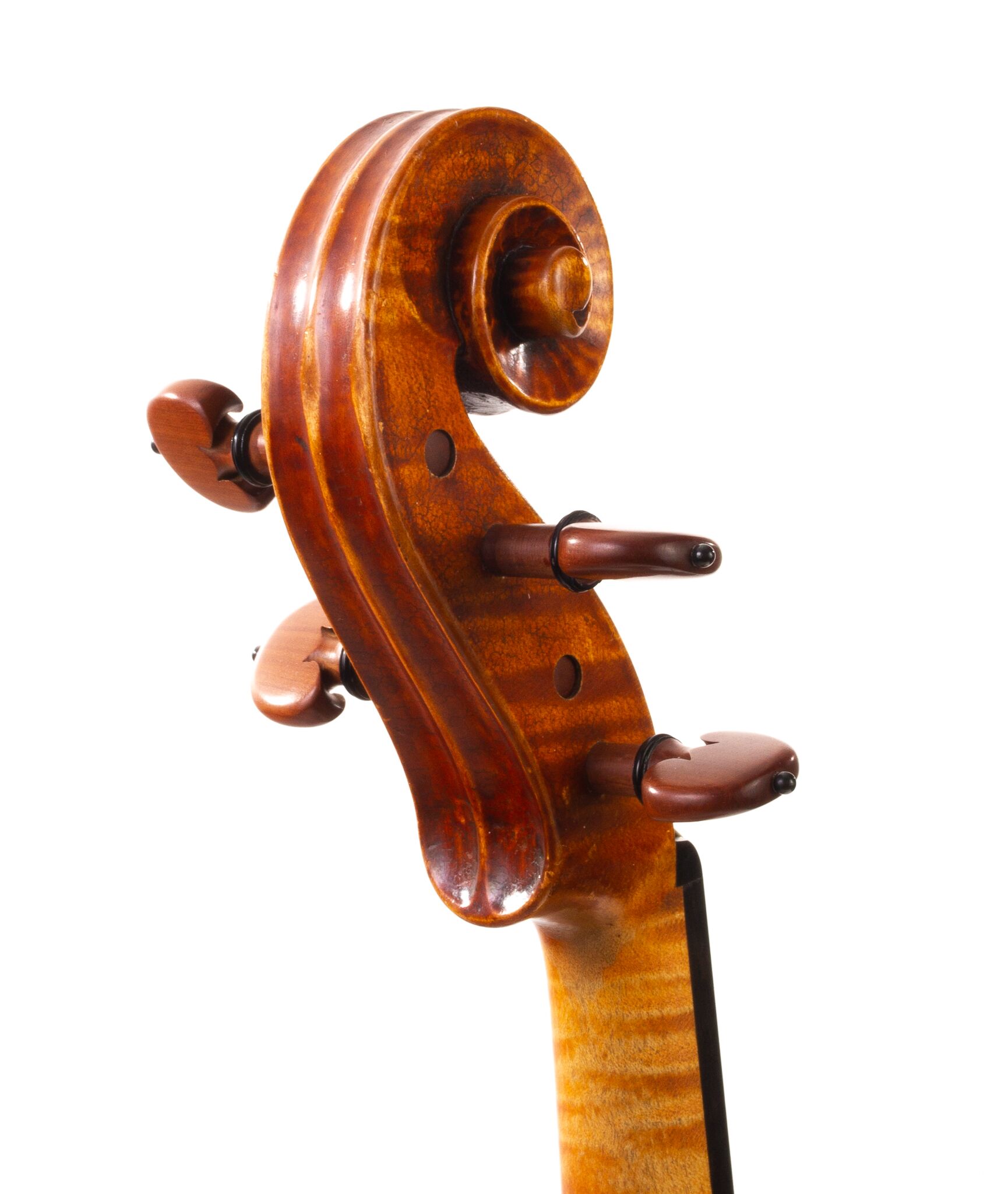 Wilhelm-Kapfhammer-Viola-1981-06
