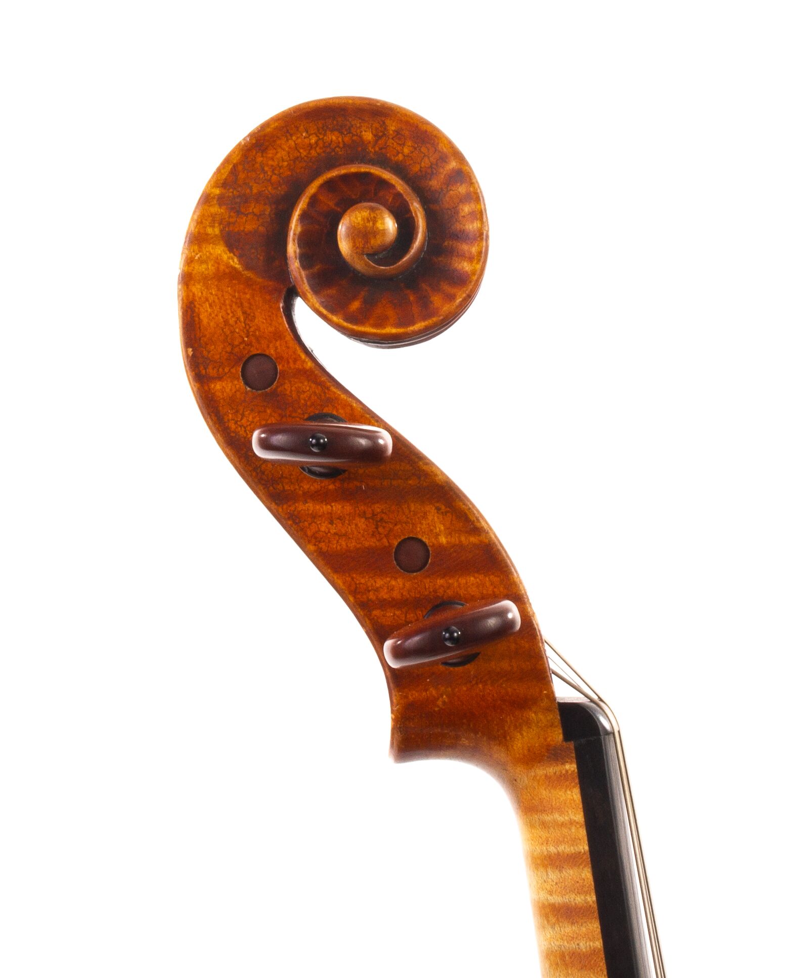 Wilhelm-Kapfhammer-Viola-1981-08