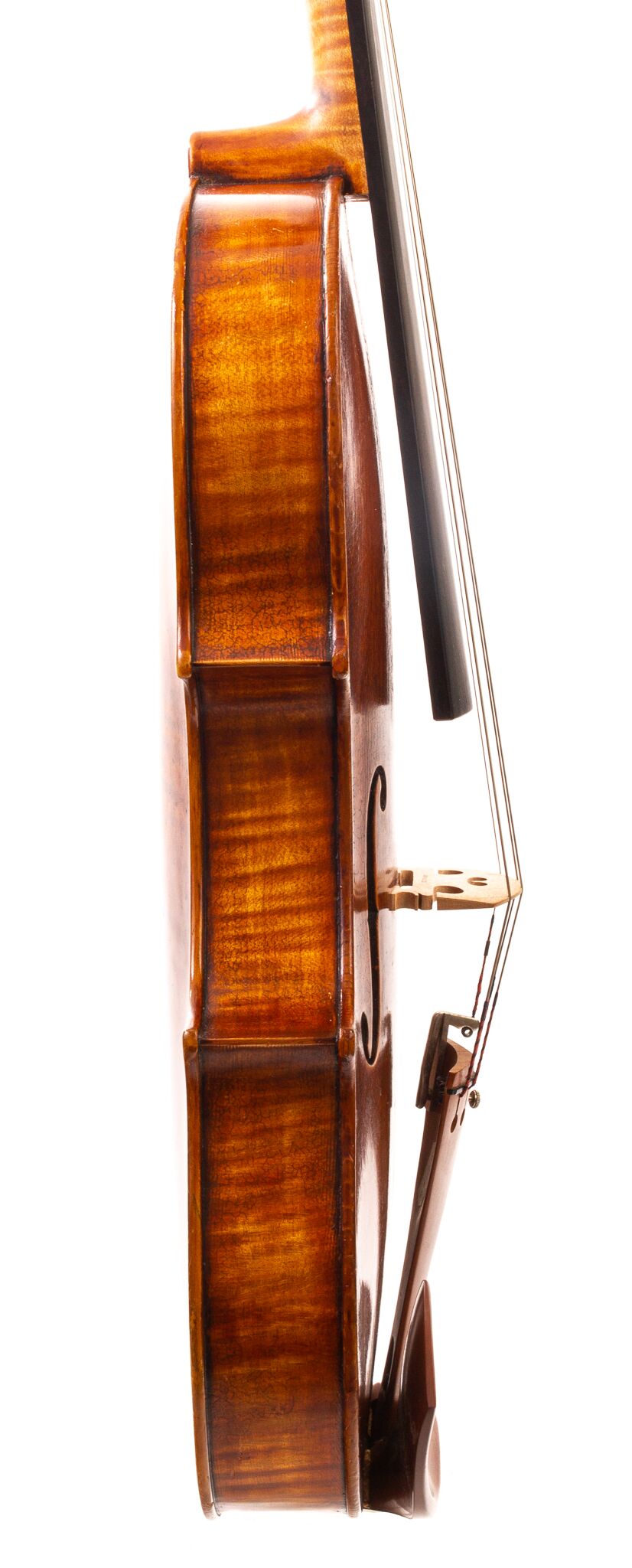Wilhelm-Kapfhammer-Viola-1981-09