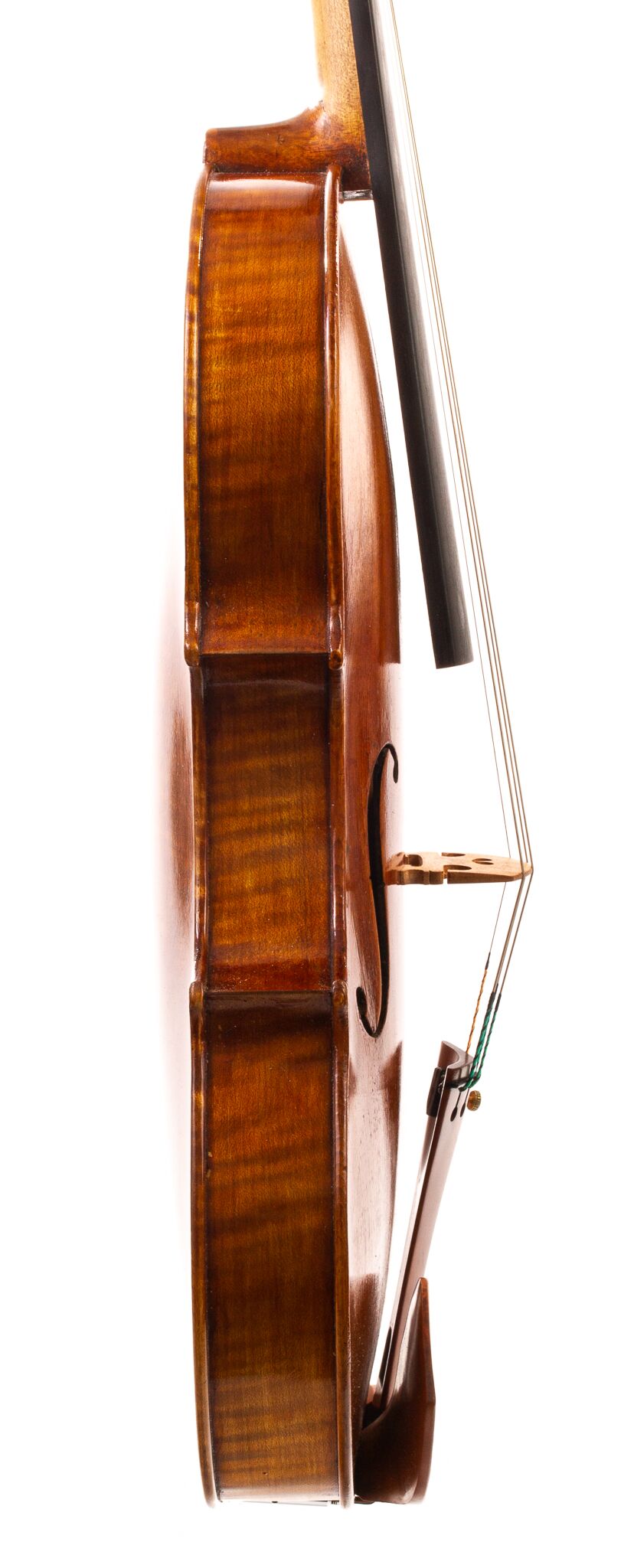 Douglas-Cox-Viola-2022-09