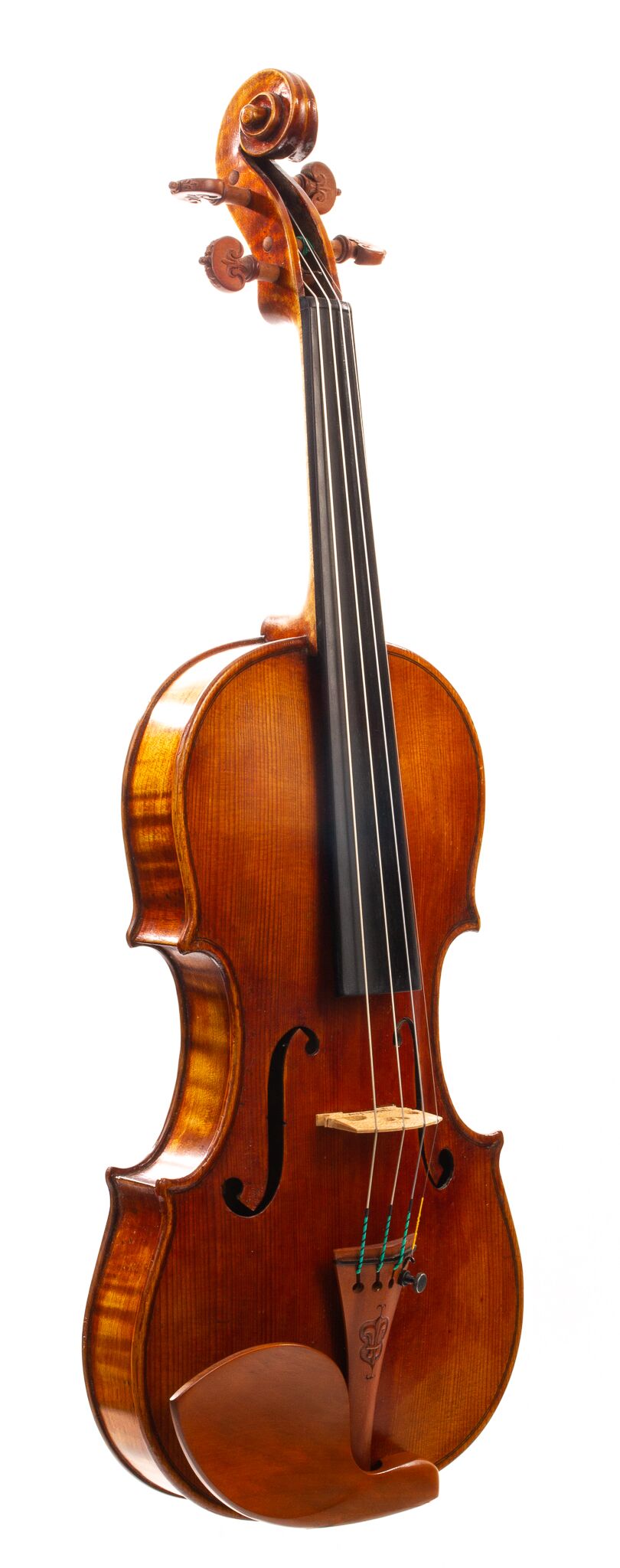 Douglas-Cox-Violin-2015-11
