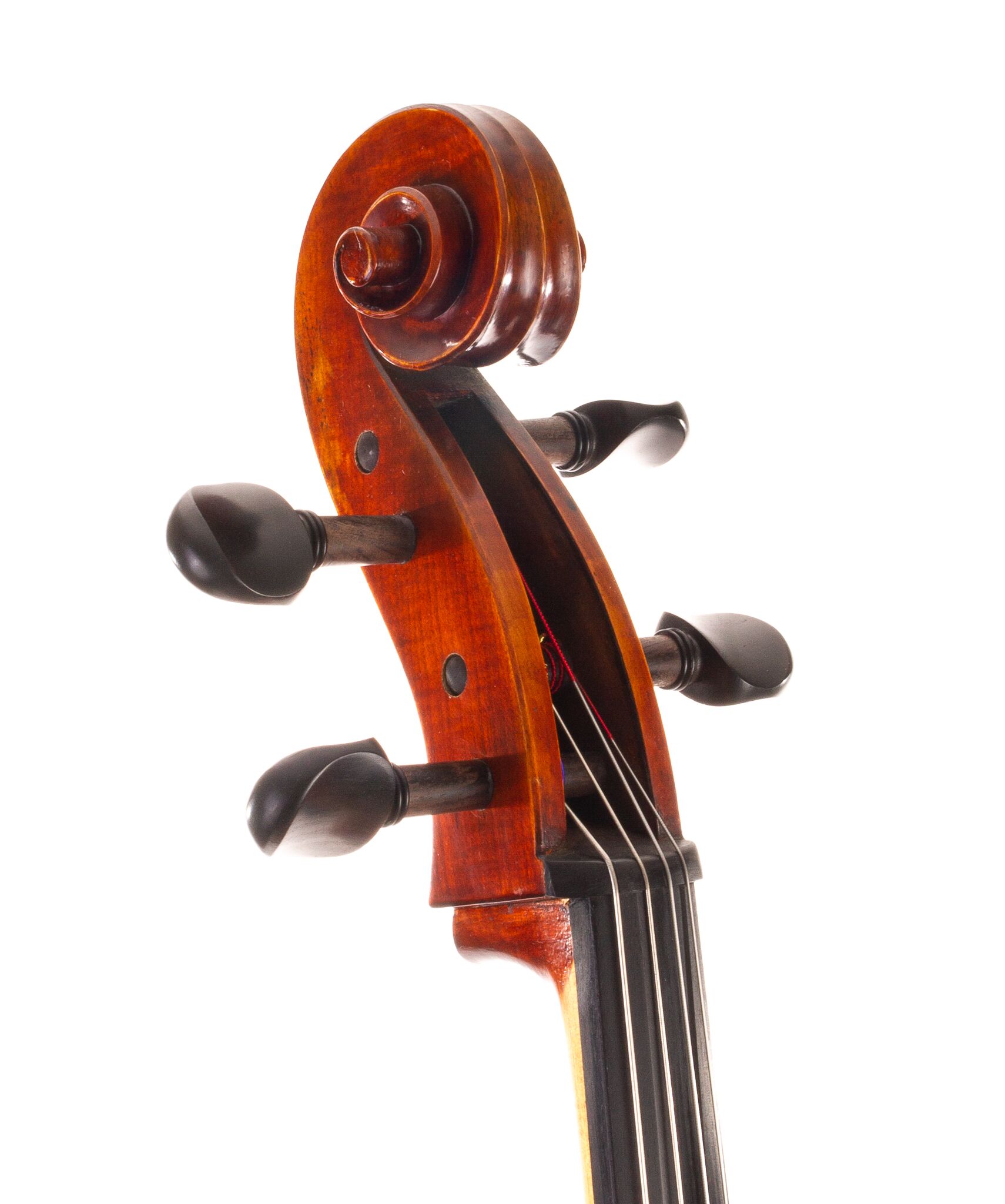 Ivan-Dunov-Eastman-402-Cello-03