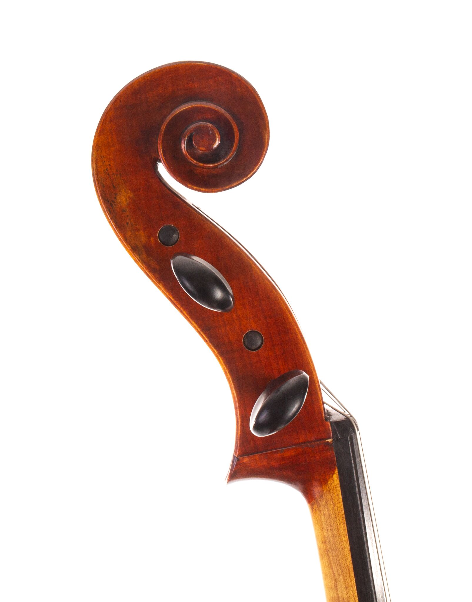 Ivan-Dunov-Eastman-402-Cello-04