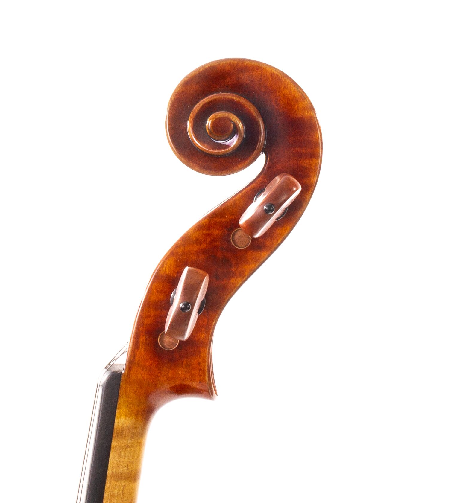 CS2900-Ming-Jiang-Zhu-15-5-Viola-01