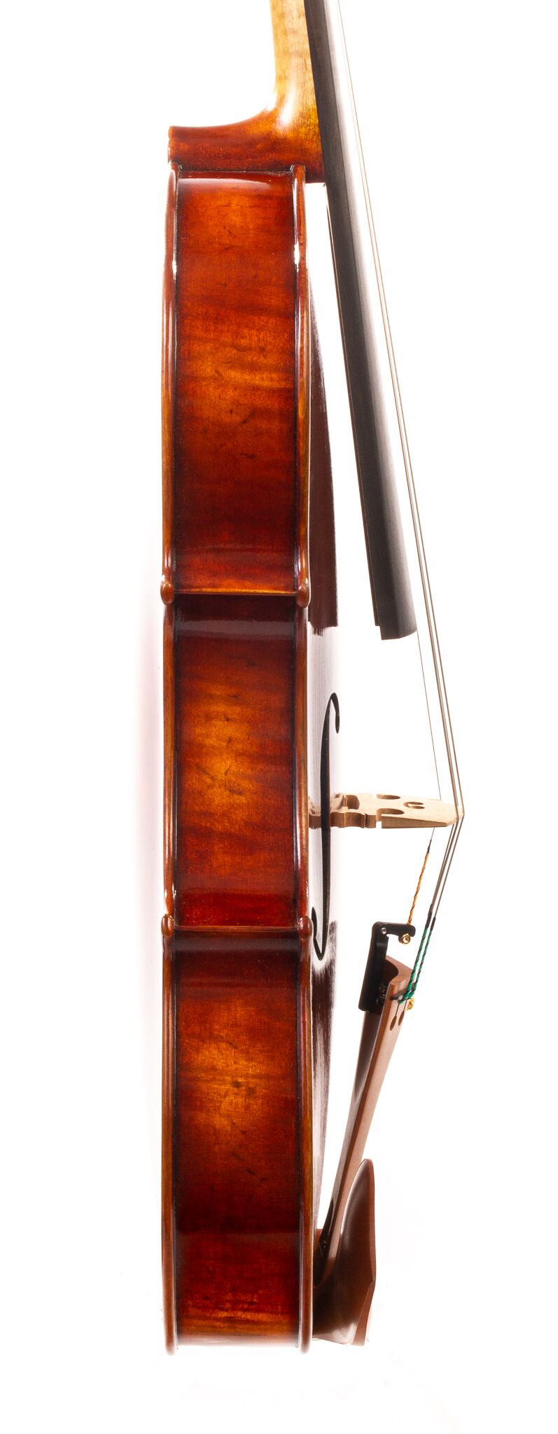 CS2900-Ming-Jiang-Zhu-15-5-Viola-09