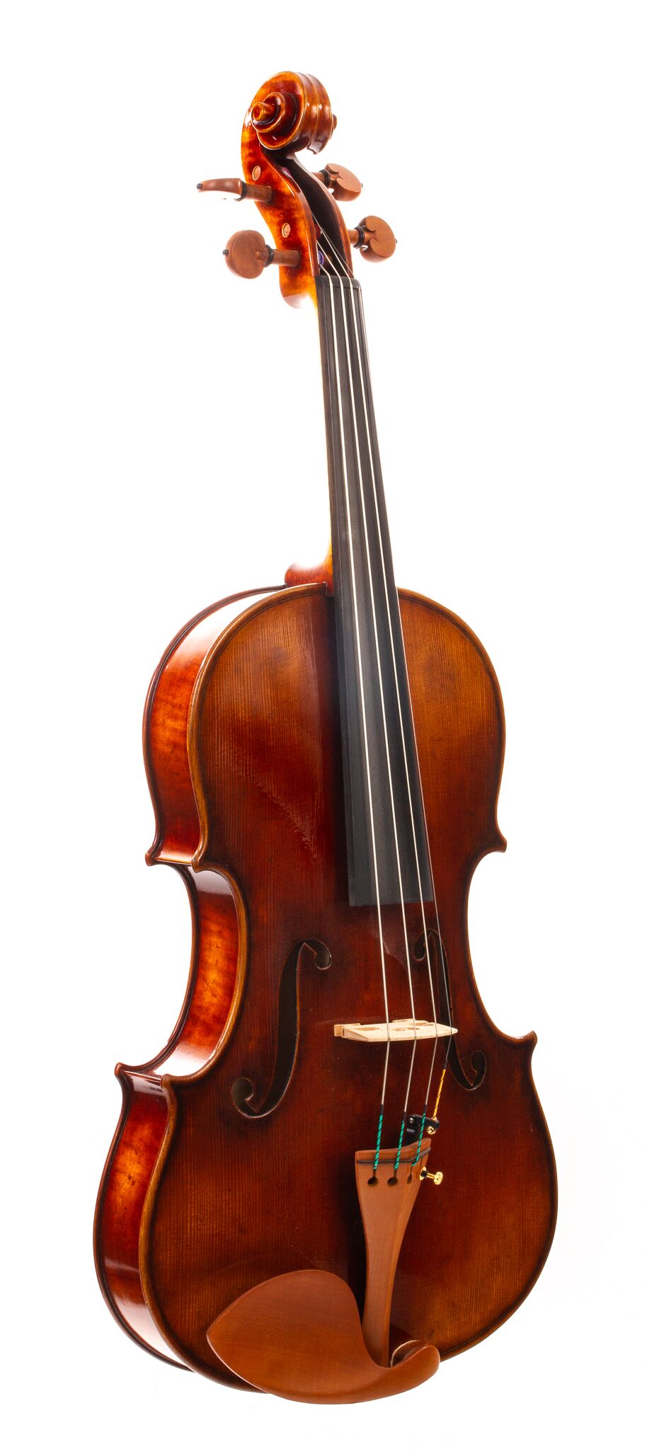 CS2900-Ming-Jiang-Zhu-15-5-Viola-11