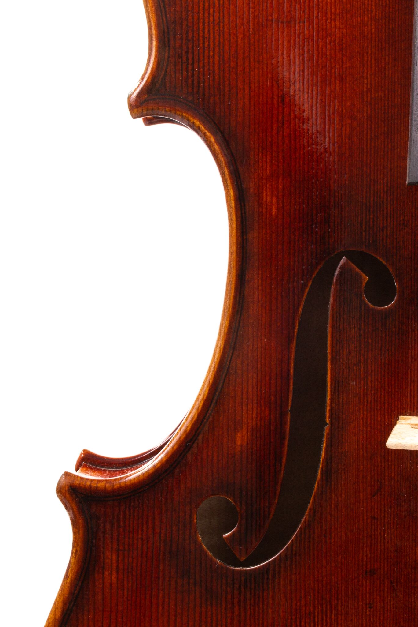 CS2900-Ming-Jiang-Zhu-15-5-Viola-13
