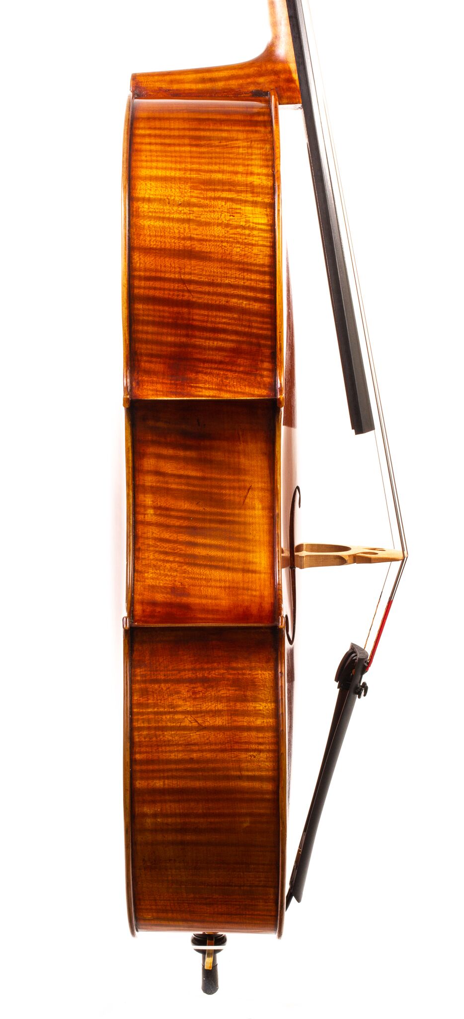 Eastman-830-7-8-Cello-11