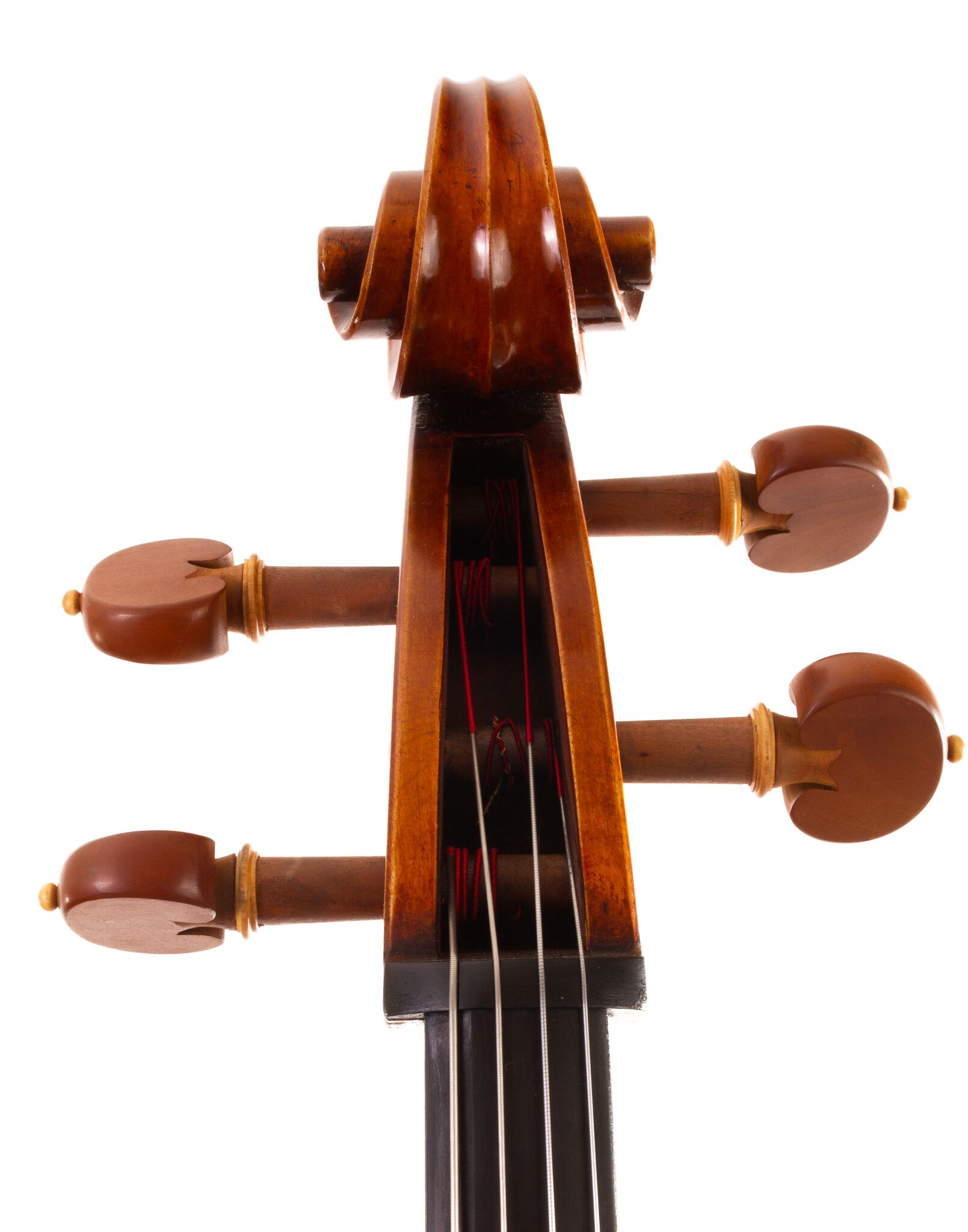 Raul Emiliani Cello 2024-02