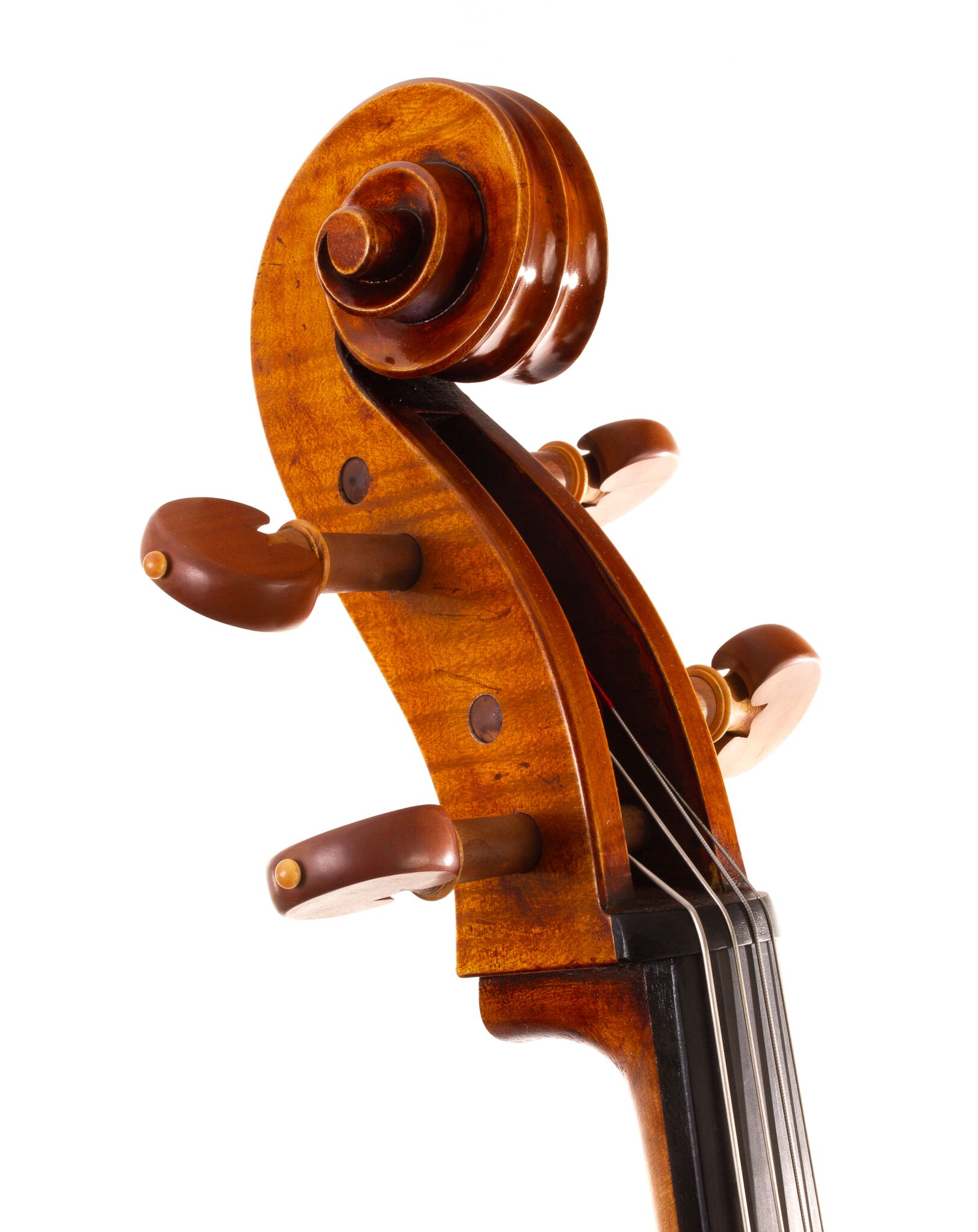 Raul Emiliani Cello 2024-04