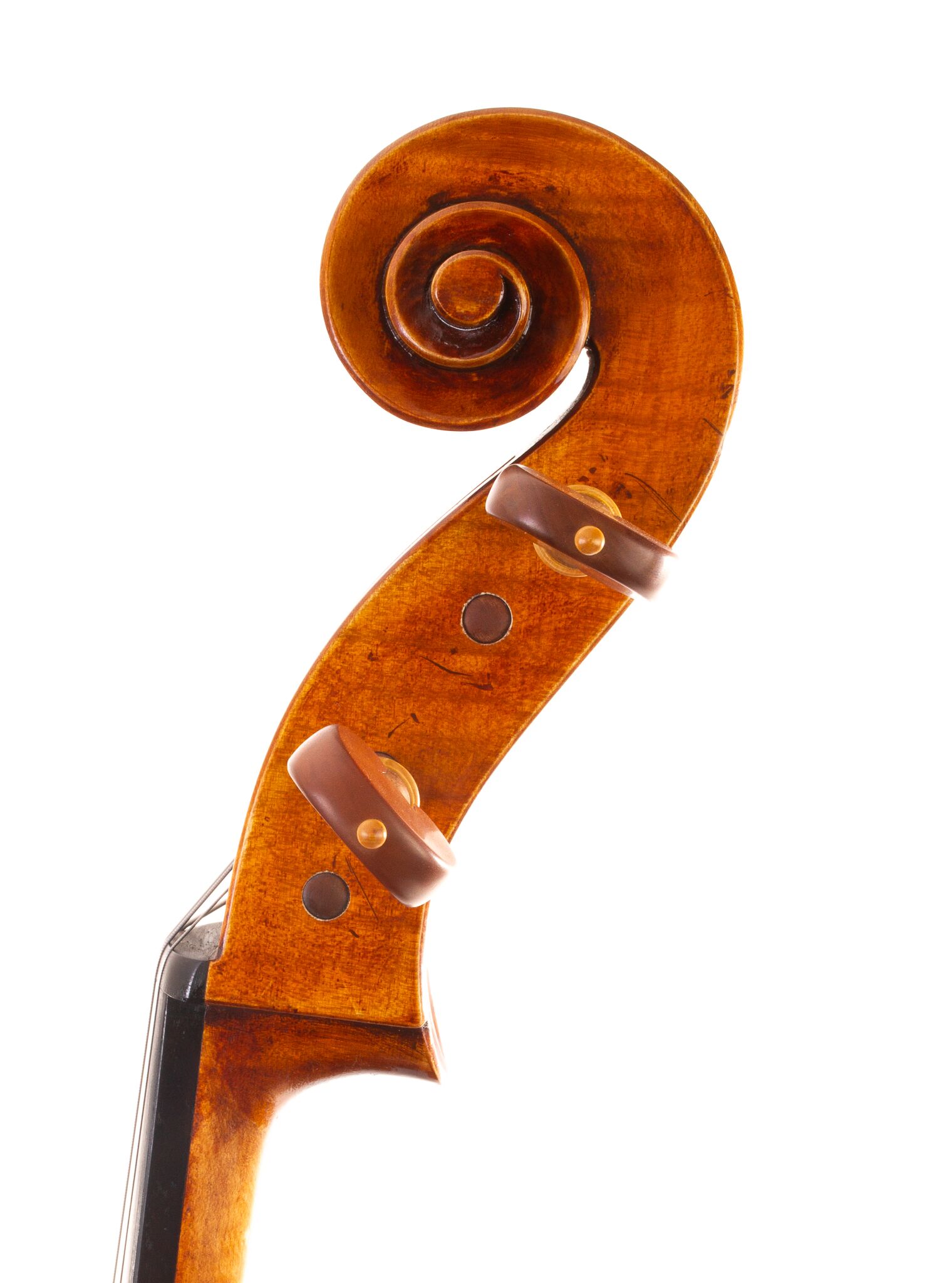 Raul Emiliani Cello 2024-05