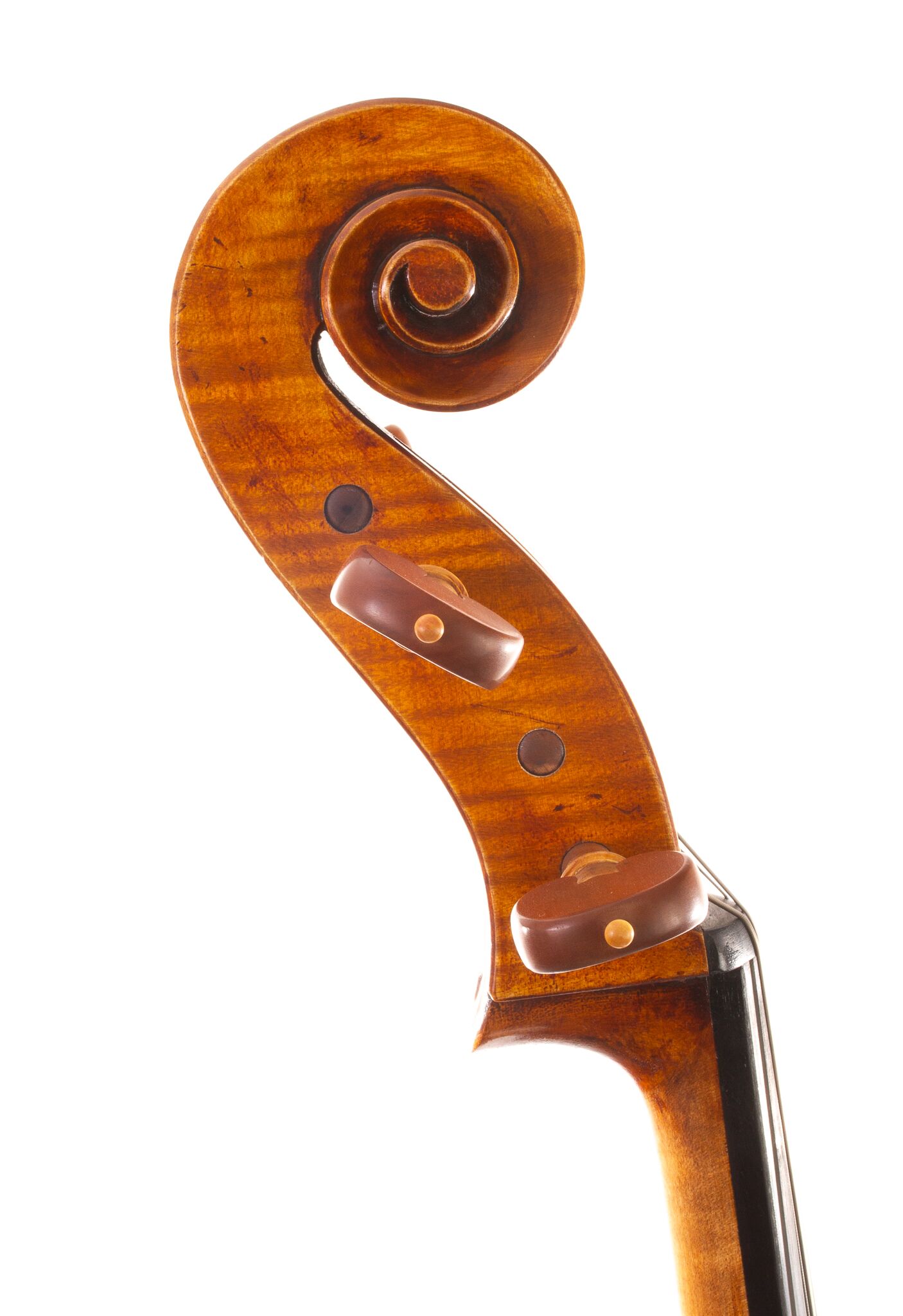 Raul Emiliani Cello 2024-06
