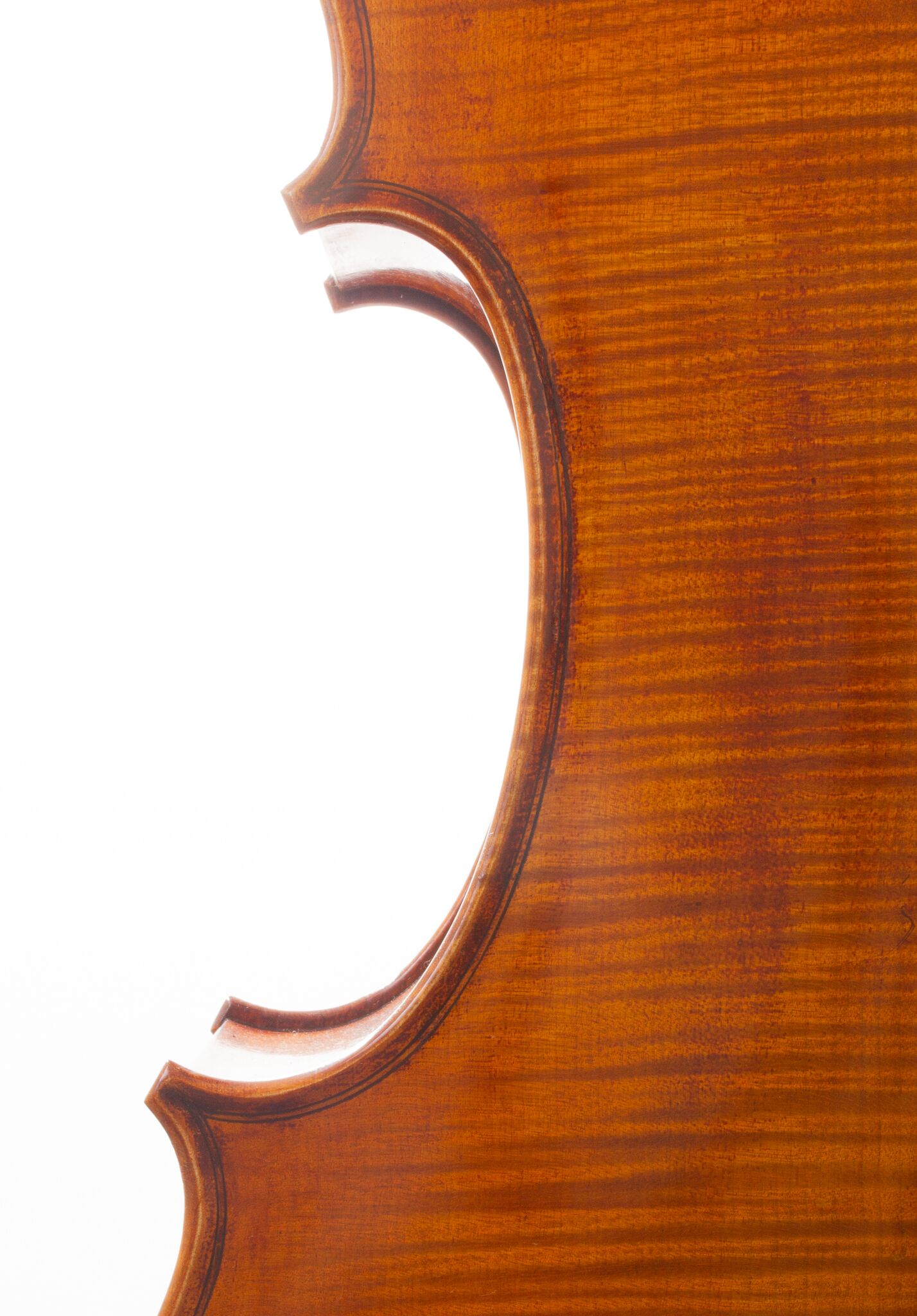 Raul Emiliani Cello 2024-07