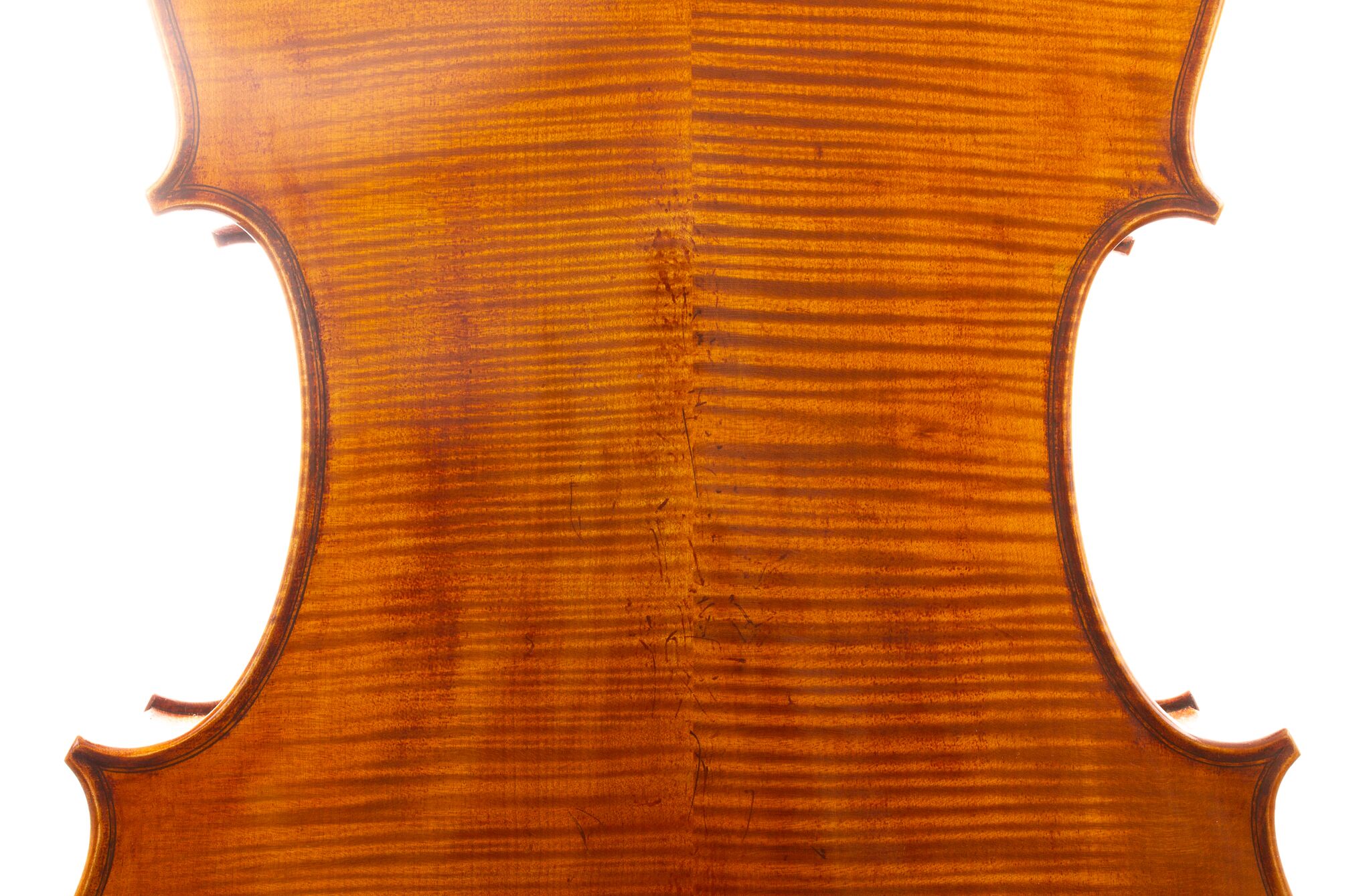 Raul Emiliani Cello 2024-08
