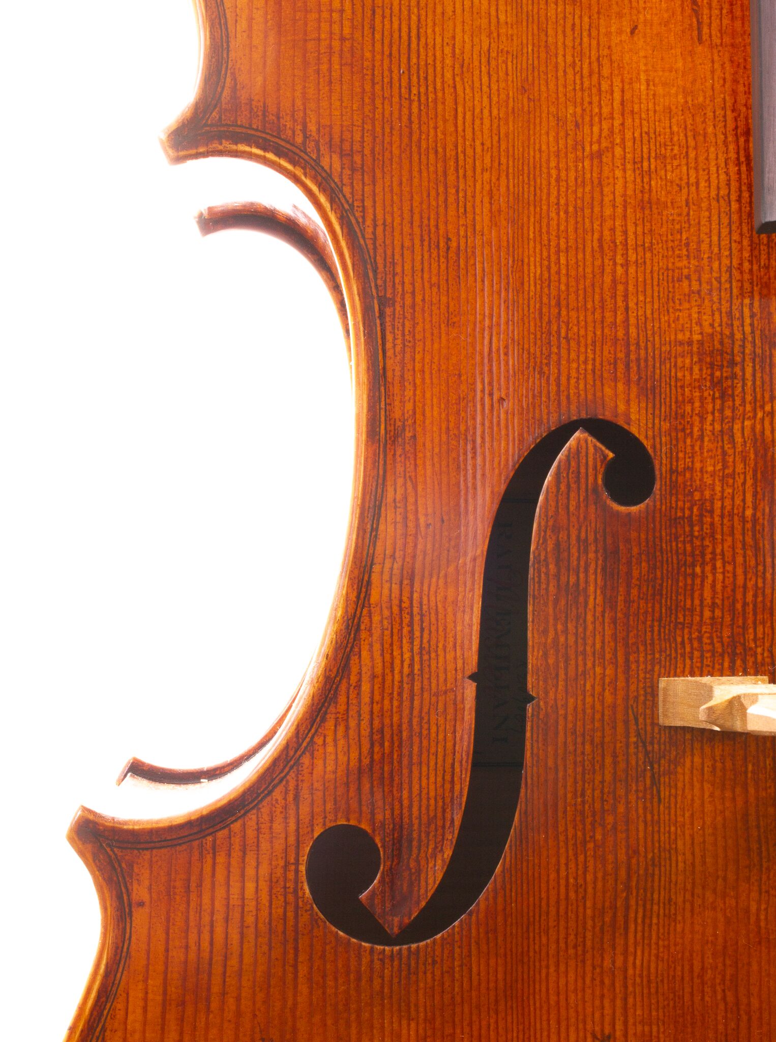Raul Emiliani Cello 2024-09