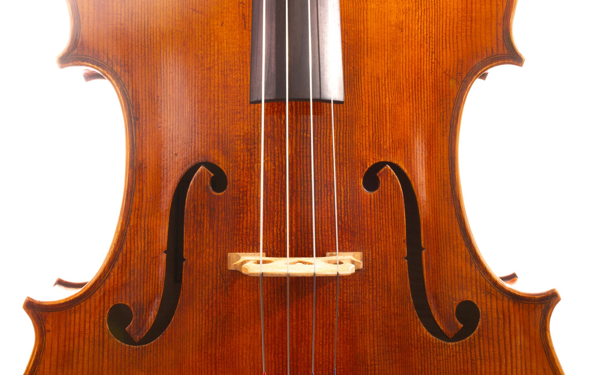 Raul Emiliani Cello 2024-10