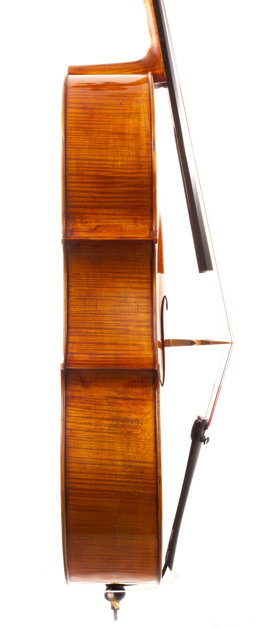 Raul Emiliani Cello 2024-11