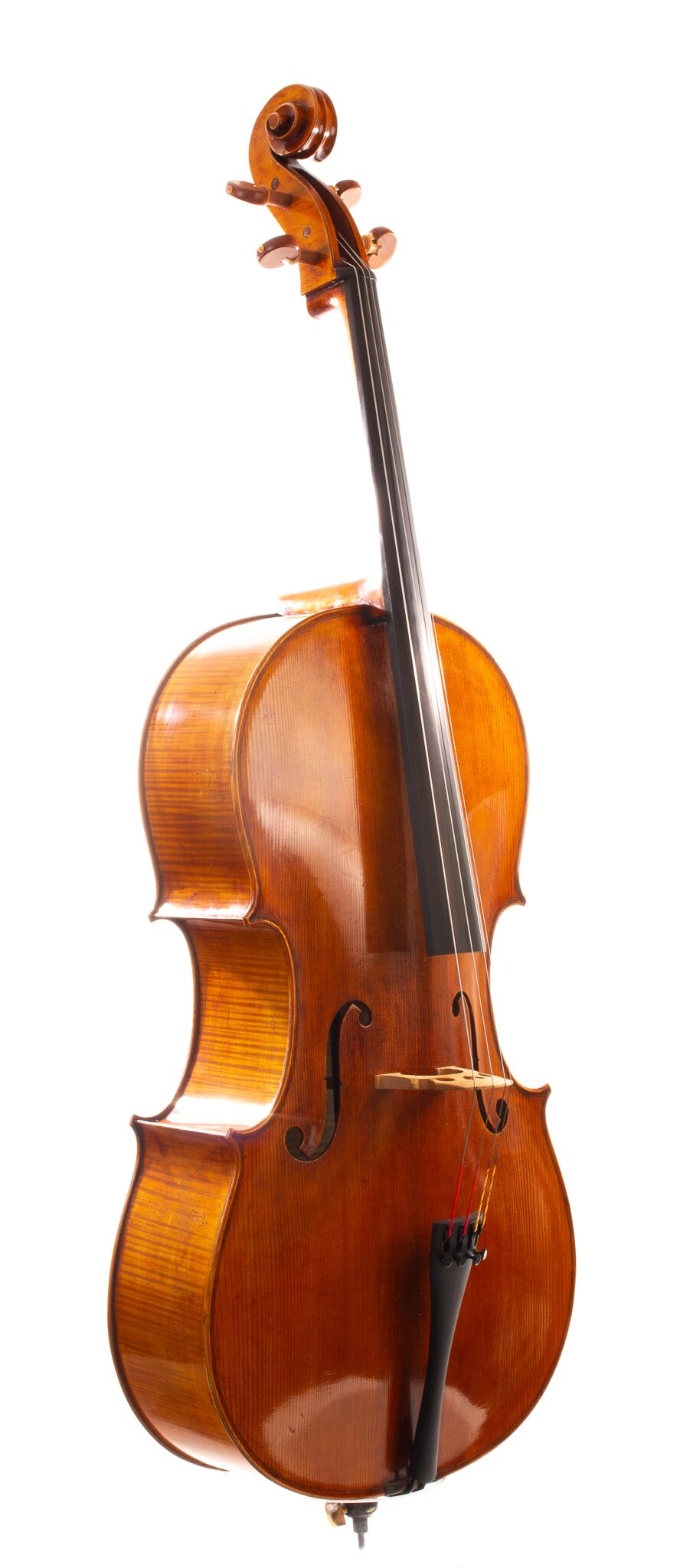 Raul Emiliani Cello 2024-14