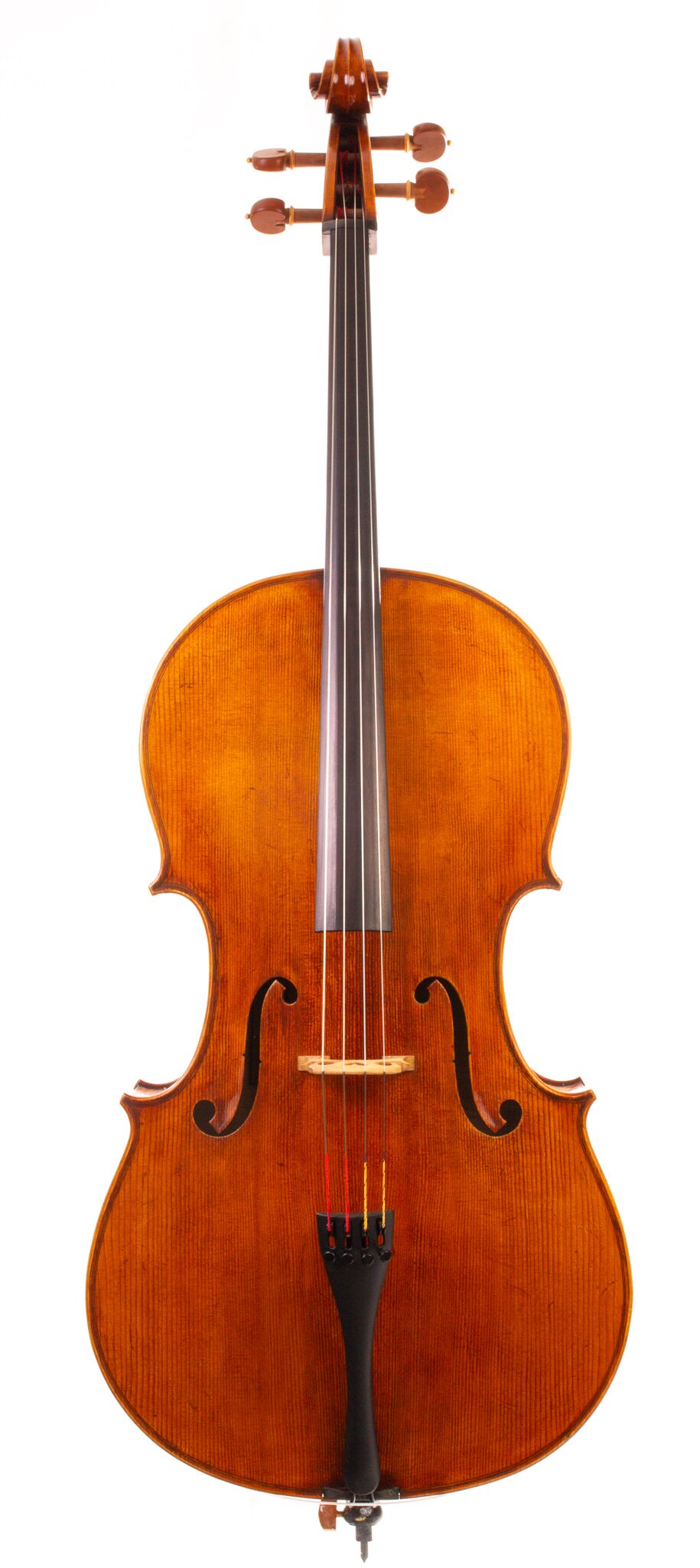 Raul Emiliani Cello 2024-15