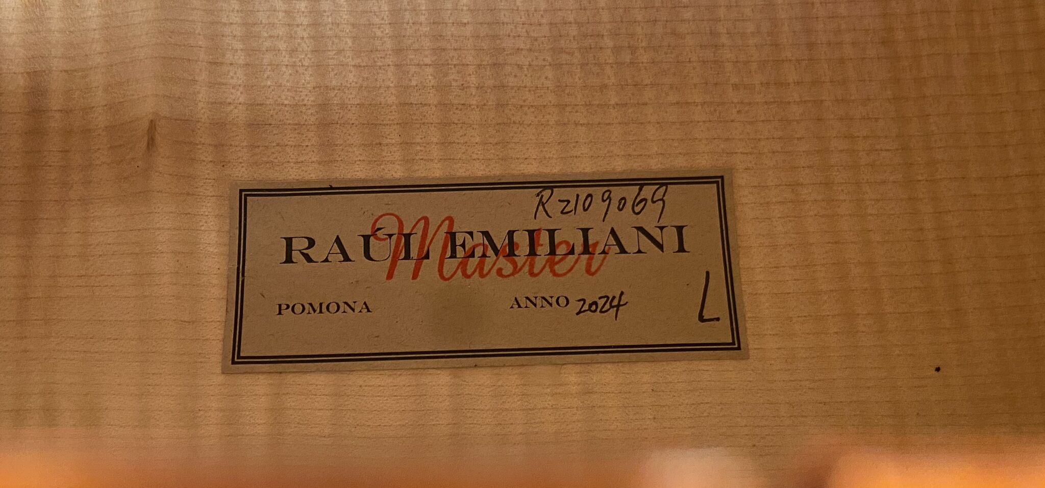 Raul Emiliani Cello 2024