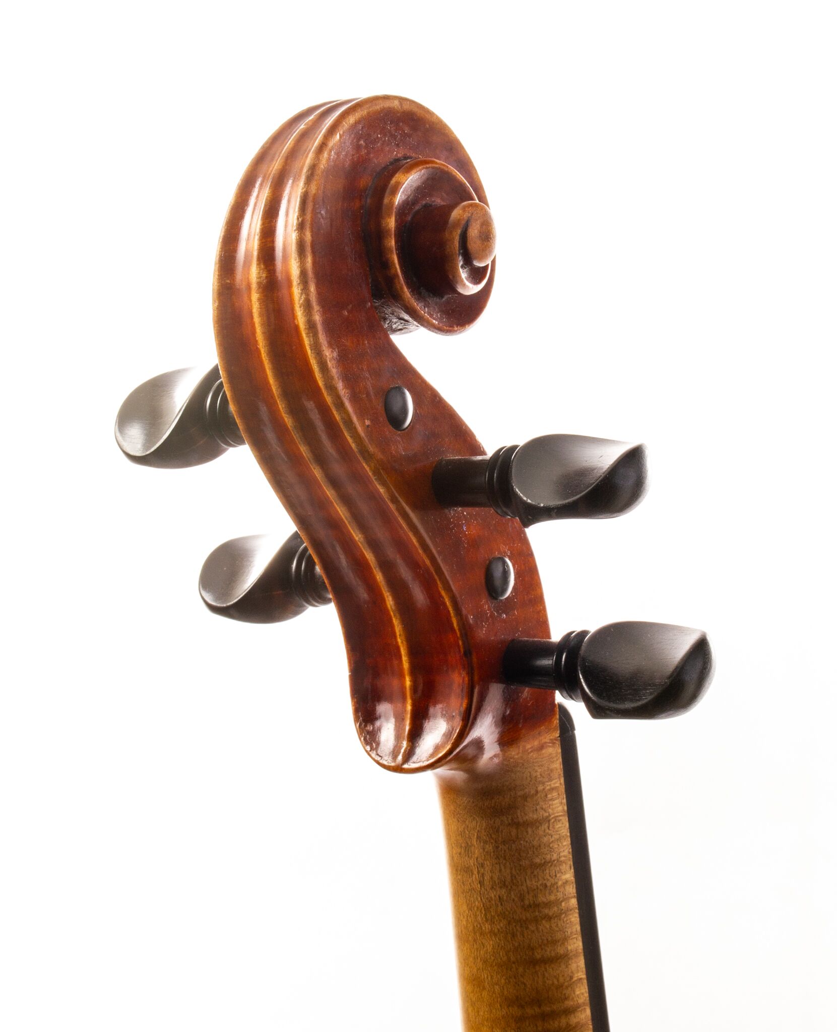 Genuzio Carletti Violin - 1920-21