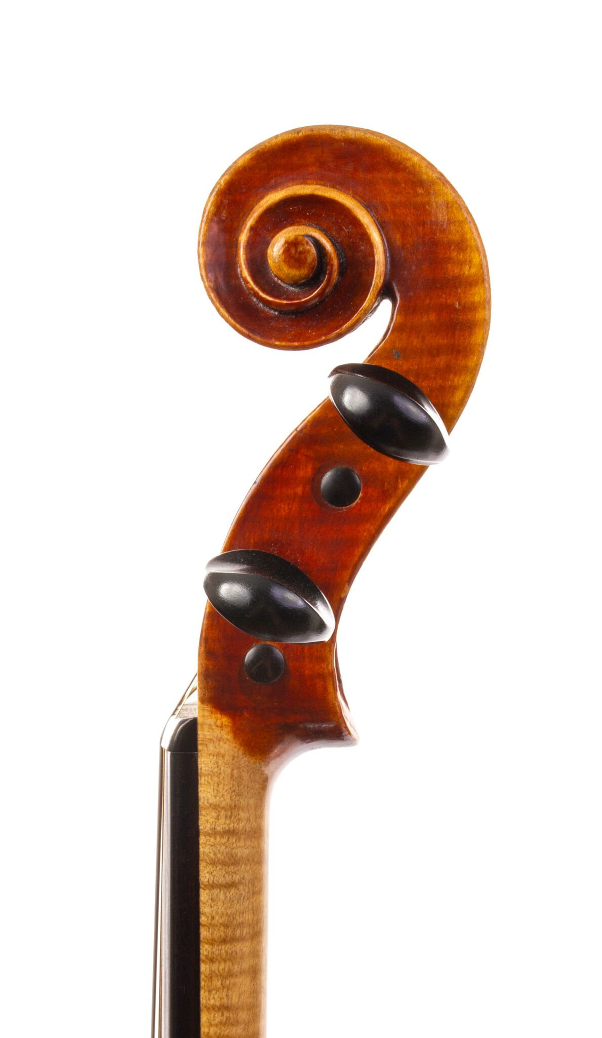 Genuzio Carletti Violin - 1920-23