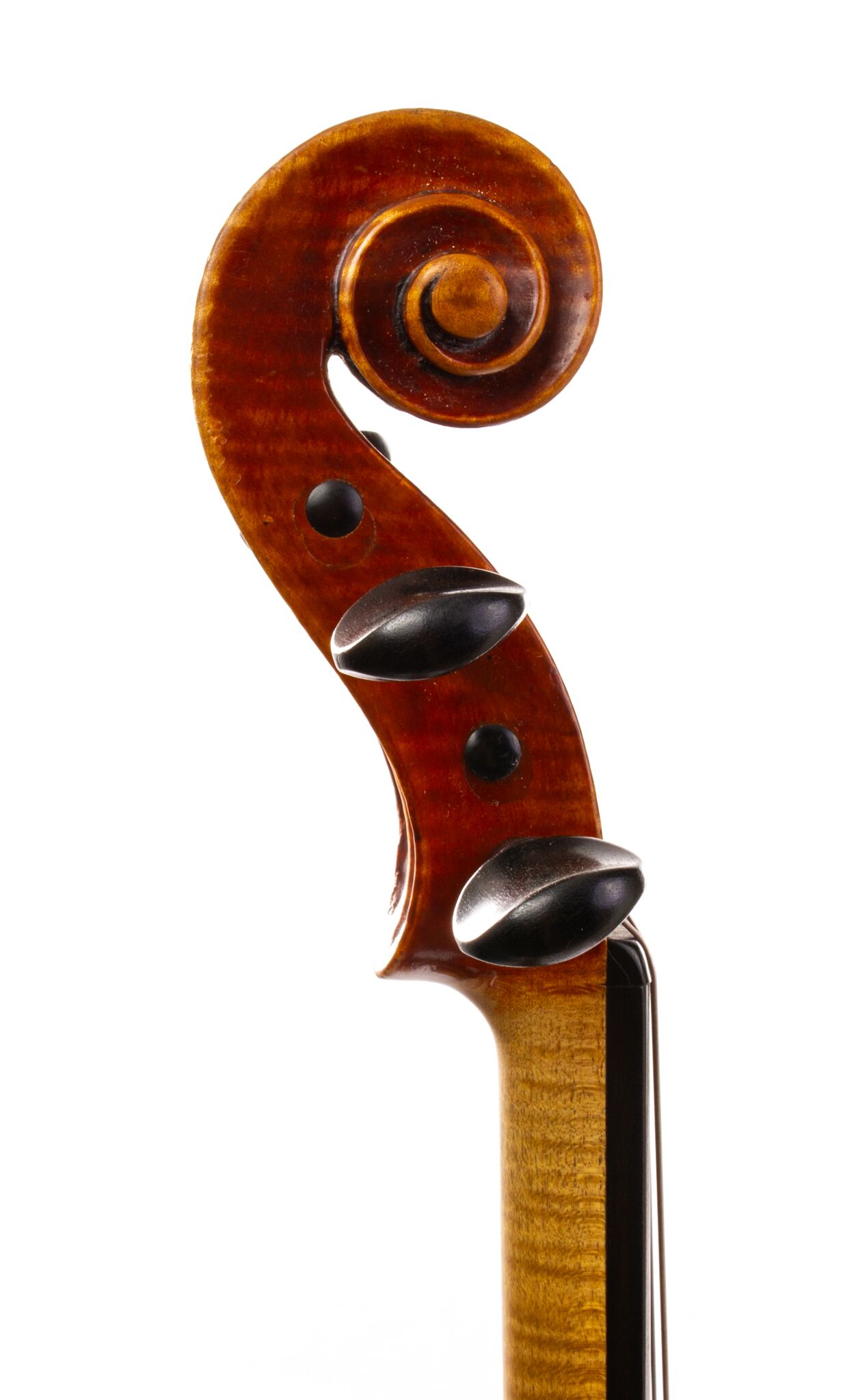 Genuzio Carletti Violin - 1920-25
