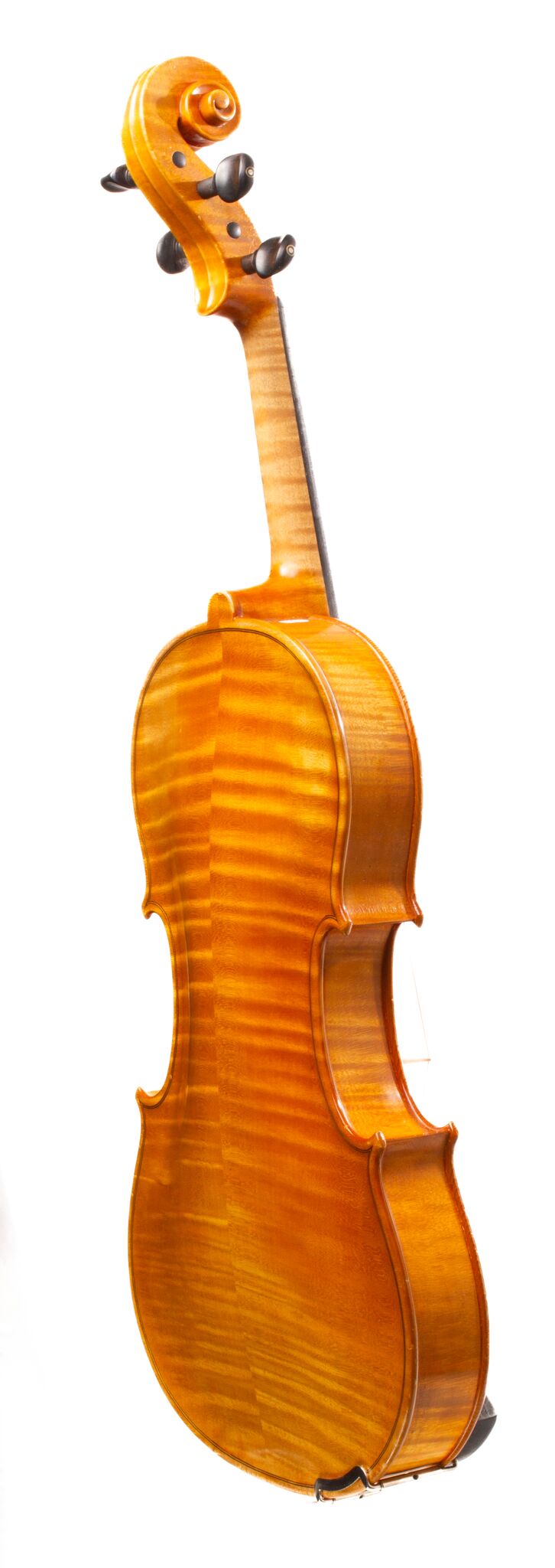 P. Sáránszky Viola - Budapestini 1980-1
