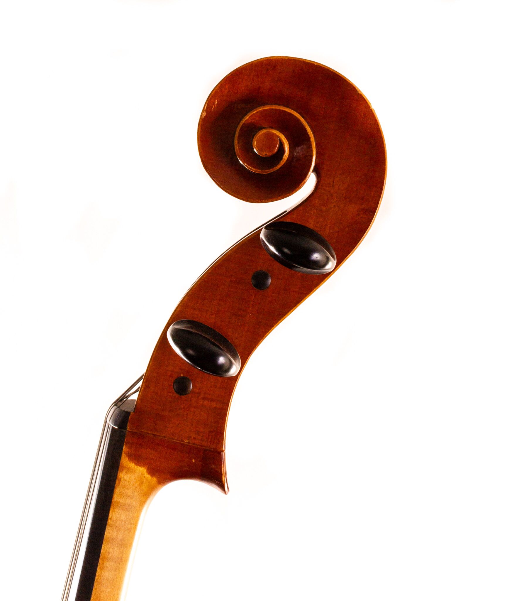 Polstein-White-Cello-2011