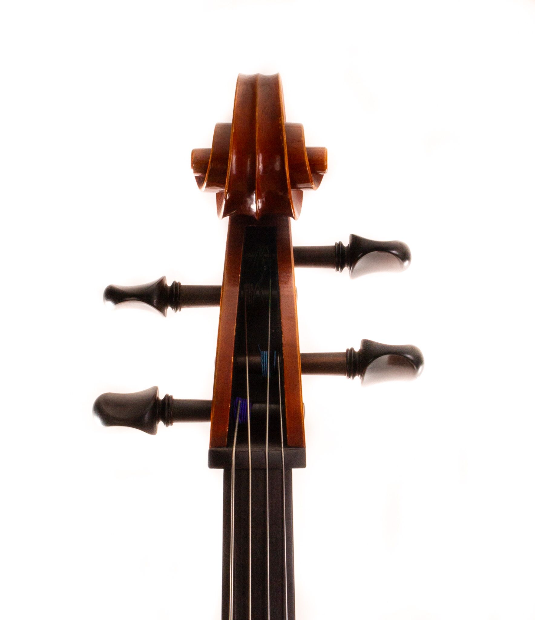 Polstein-White-Cello-2011-10