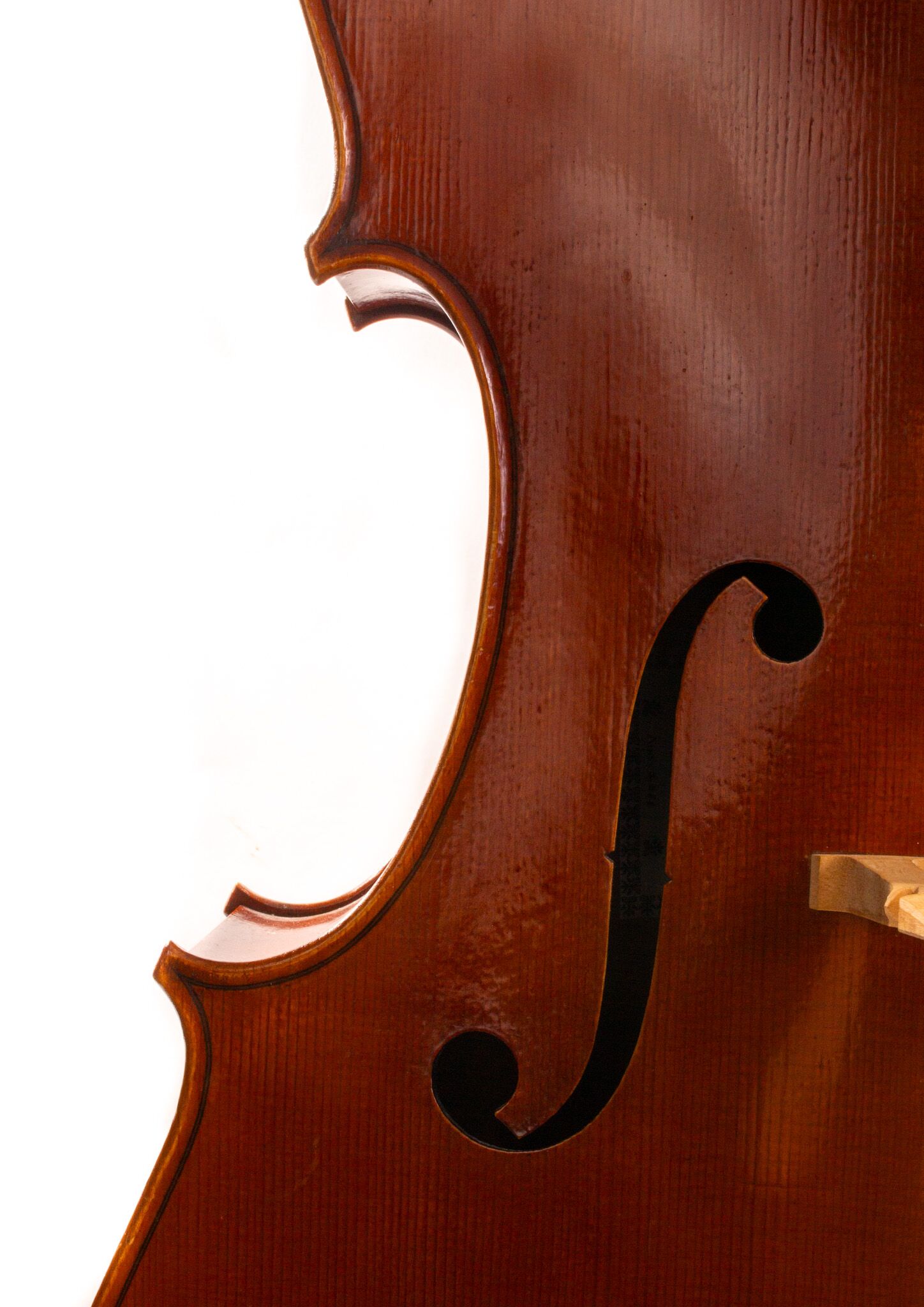 Polstein-White-Cello-2011-11
