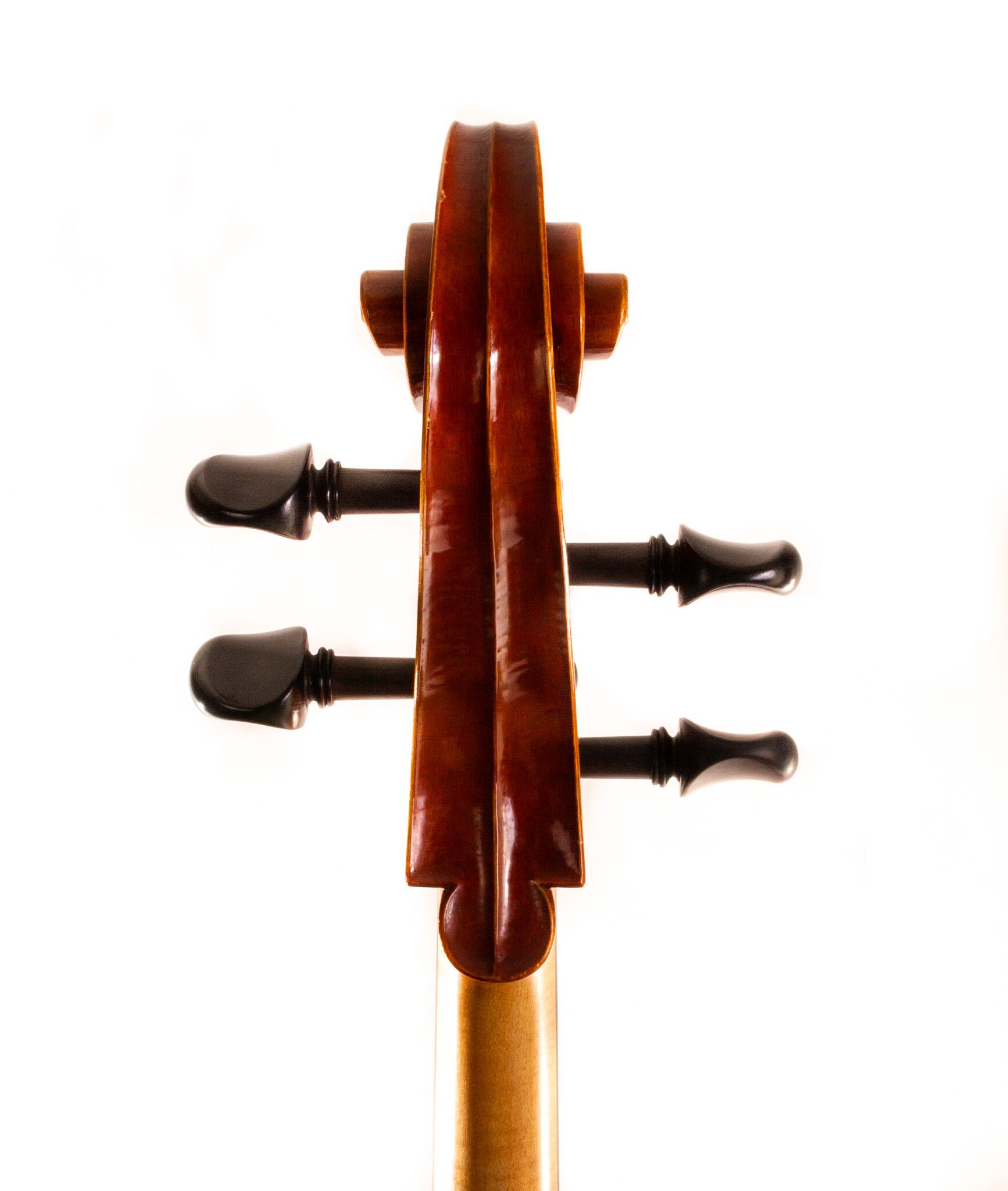 Polstein-White-Cello-2011-2