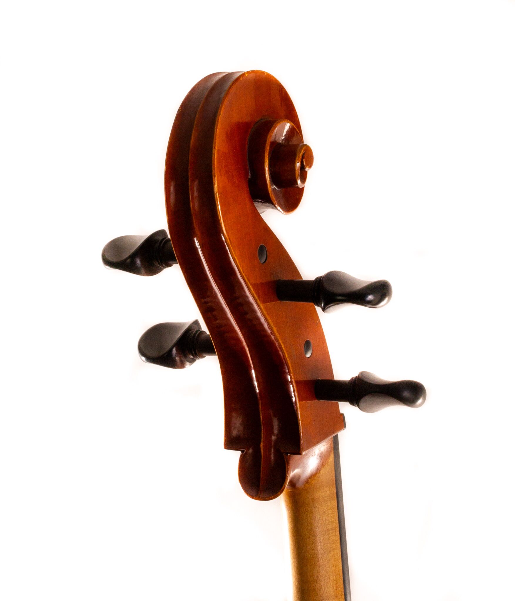 Polstein-White-Cello-2011-4